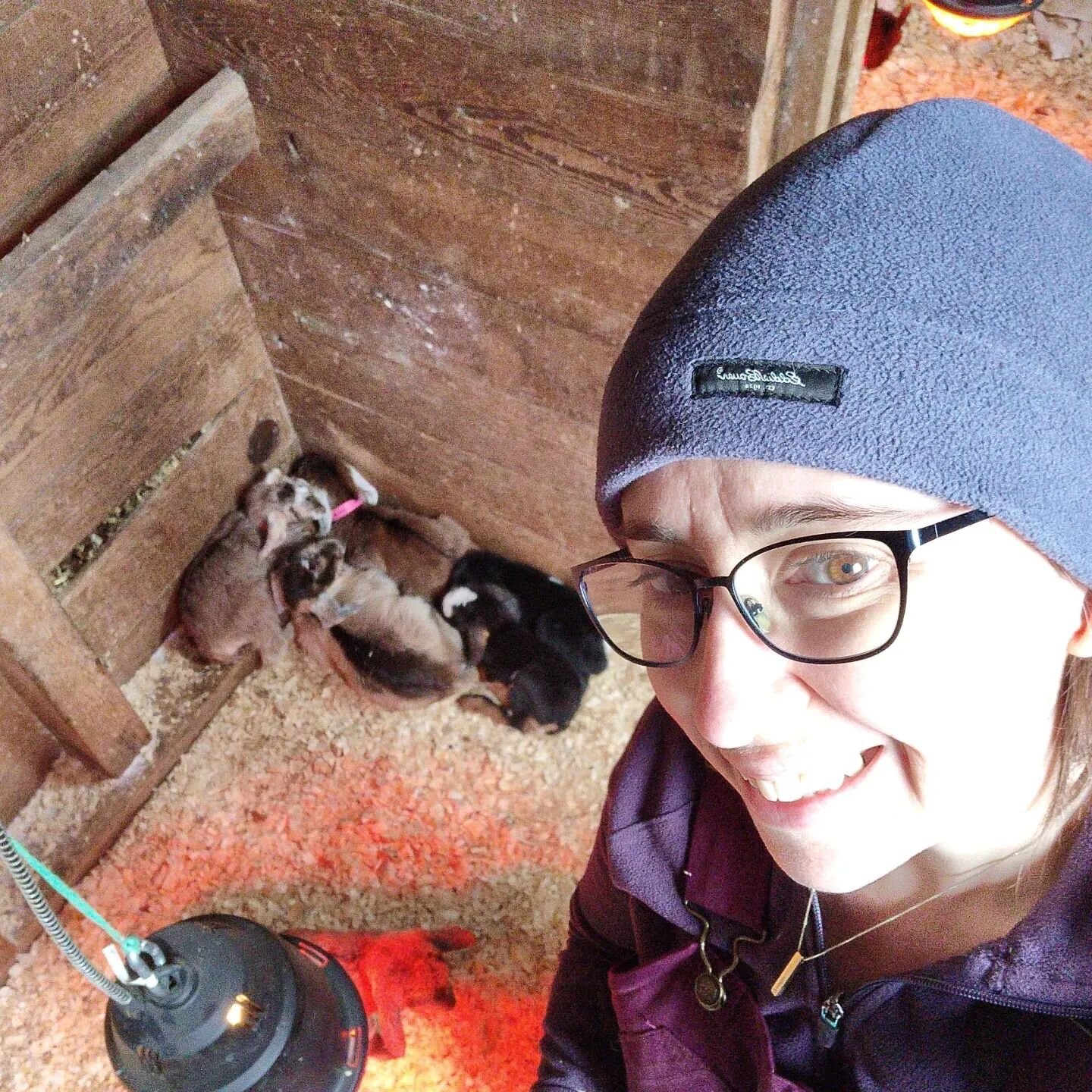 I have a tradition.
Every year on my birthday I go out and volunteer at a goat dairy. Actually, I'm here quite often, because March is the month when all the babies on this farm are born. 
When it comes to babies, my love for them is not restricted t