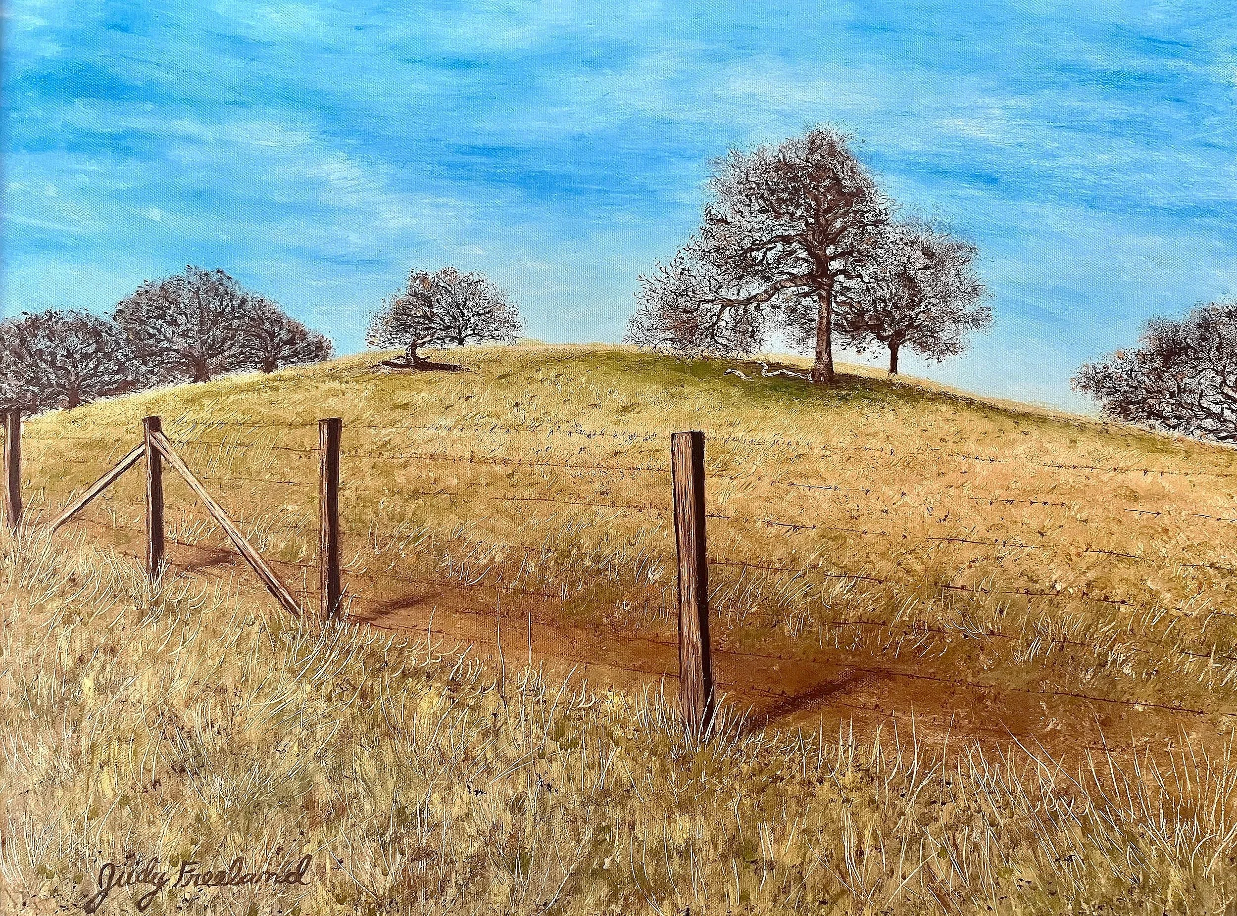 Sandhill Oak Trees