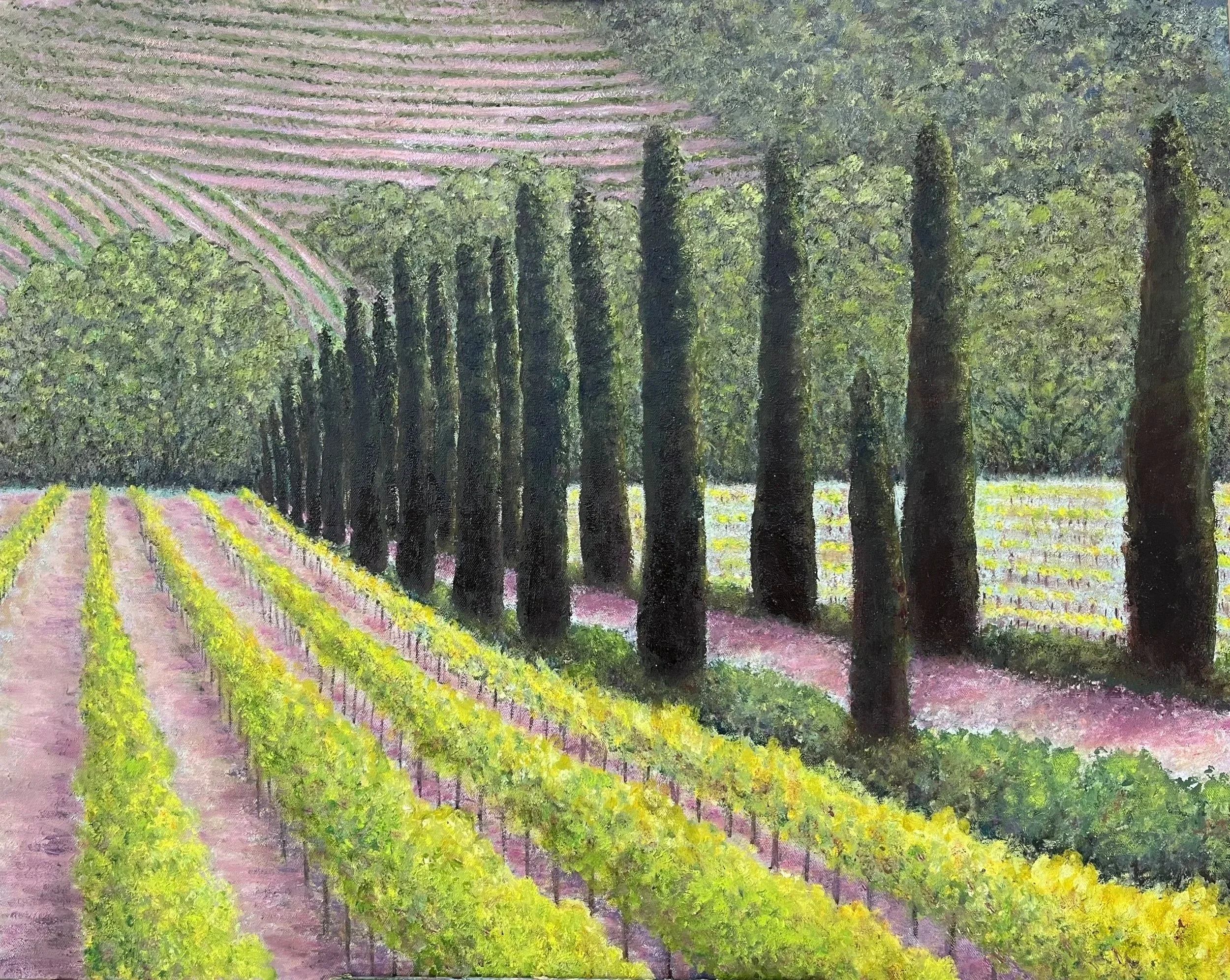 Spring in the Vineyard
