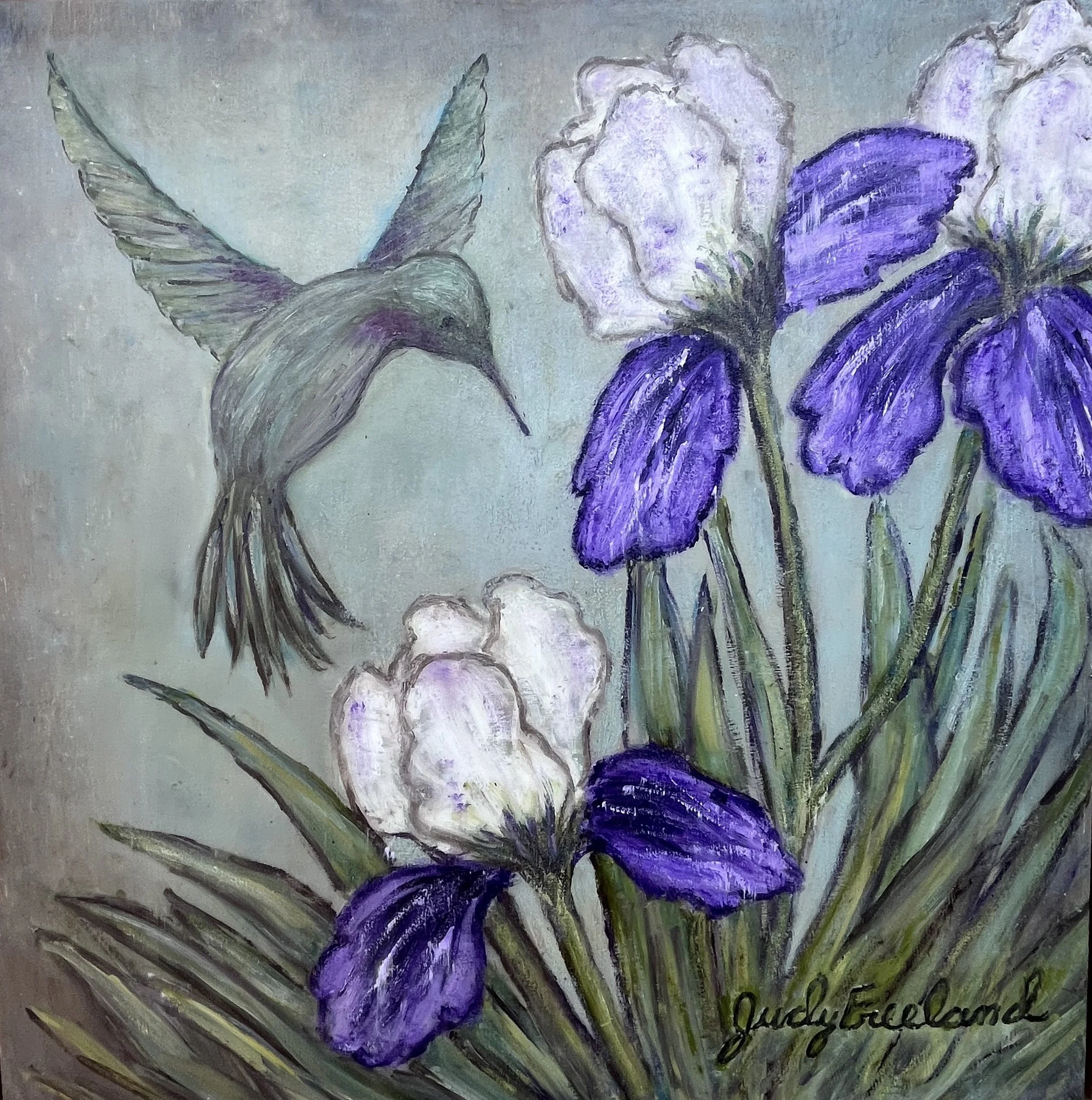 Hummingbird and Iris.jpeg