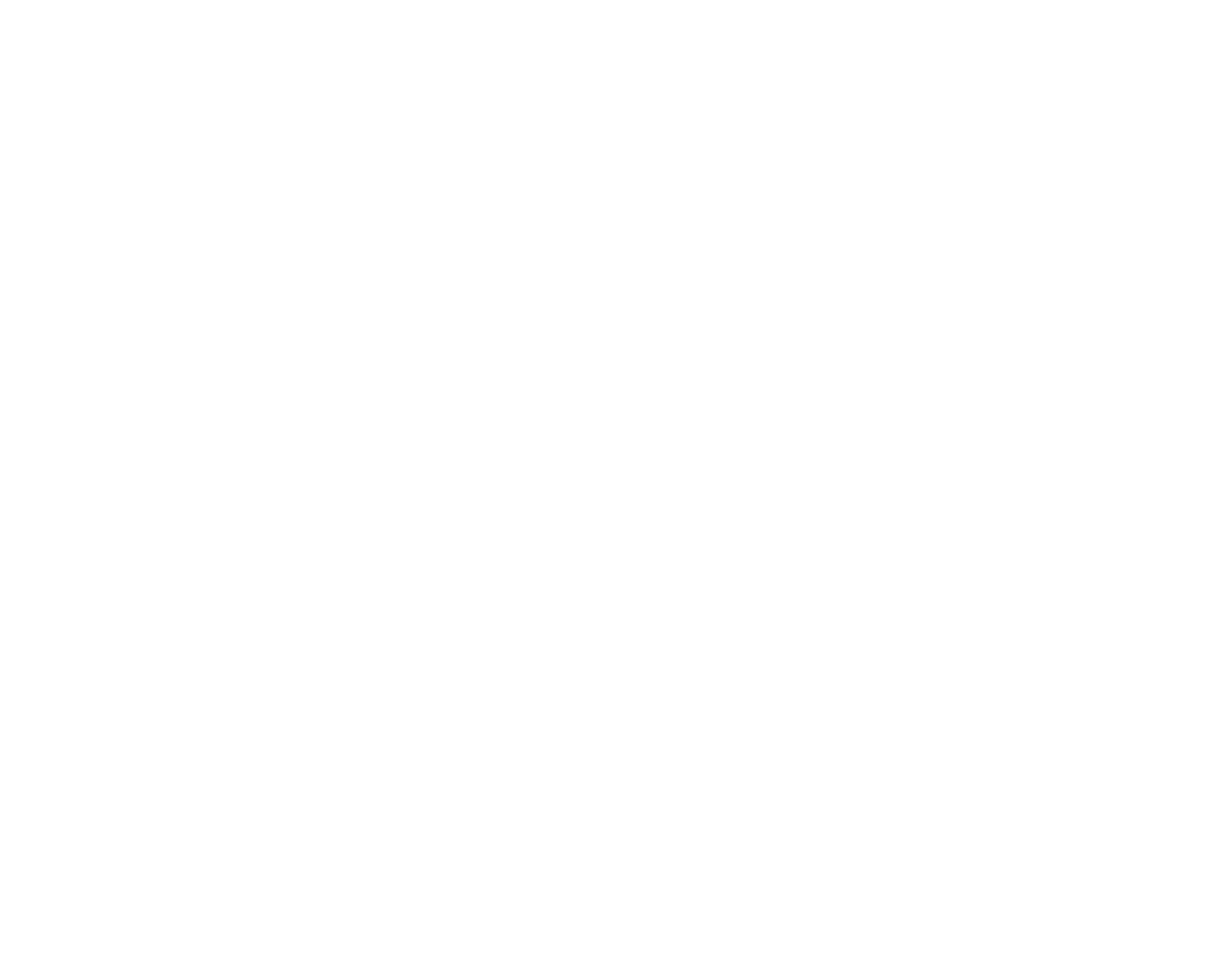 Special Stars Inc NFP