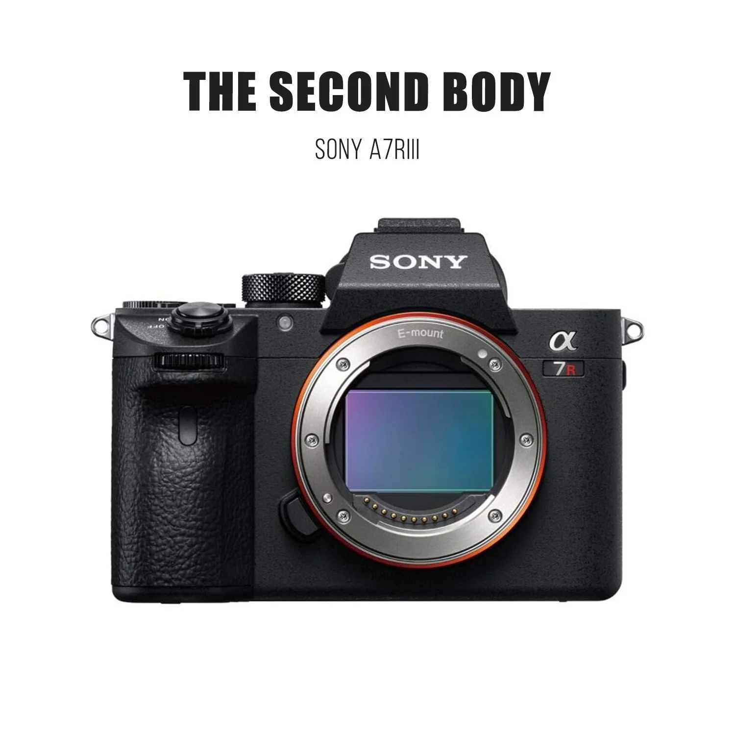 sony a7r3.jpg