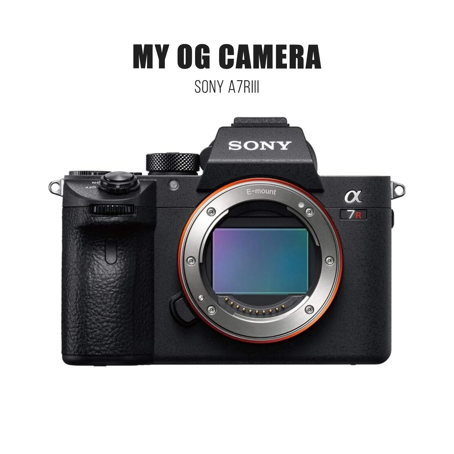 sony a7r3.jpg