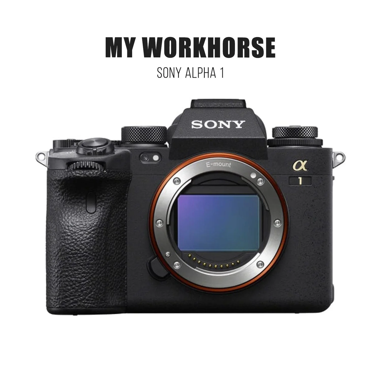 Sony Alpha 1.jpg
