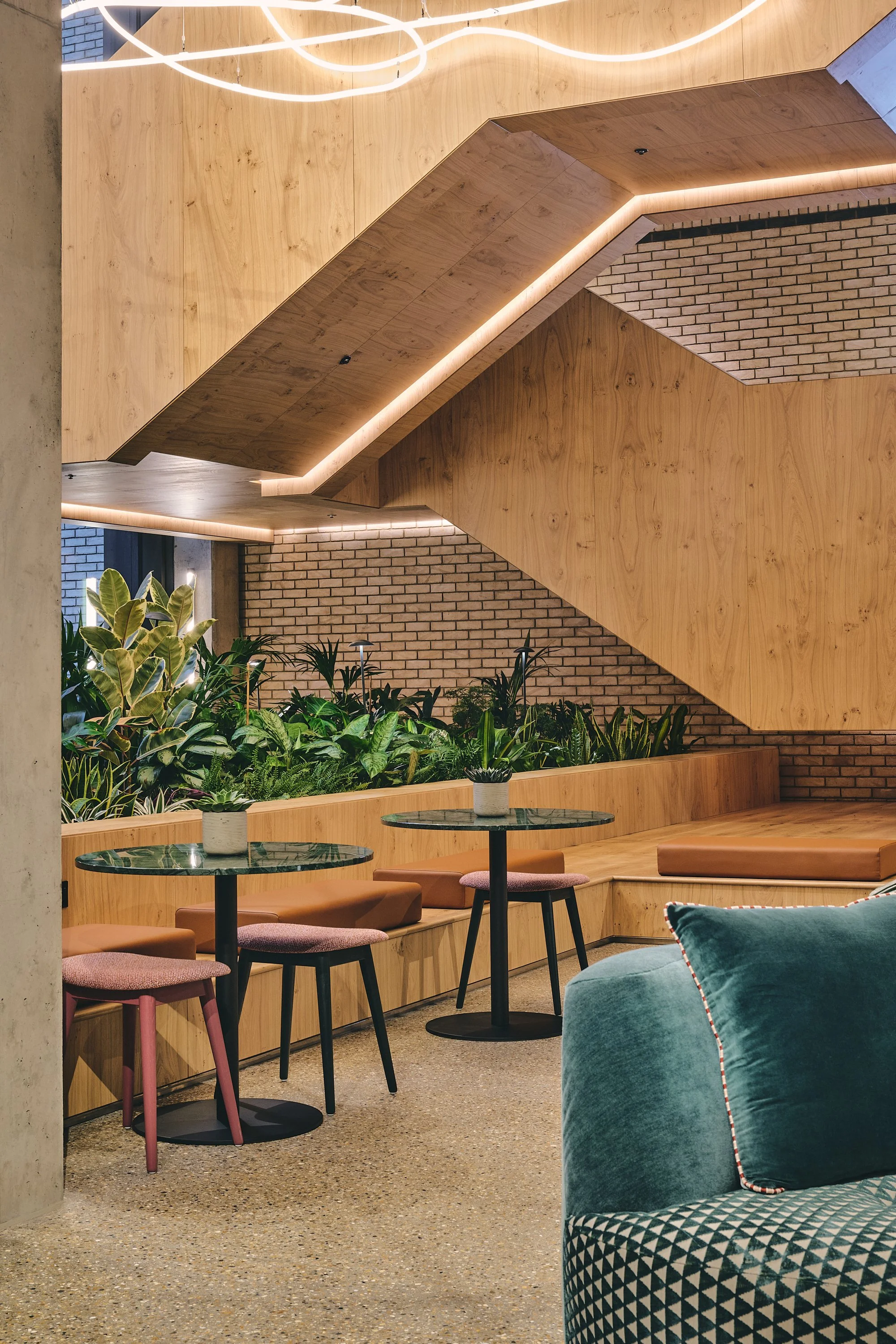 DSC_0791_26.01.09_GRID_VERTUS_HI RES.jpg