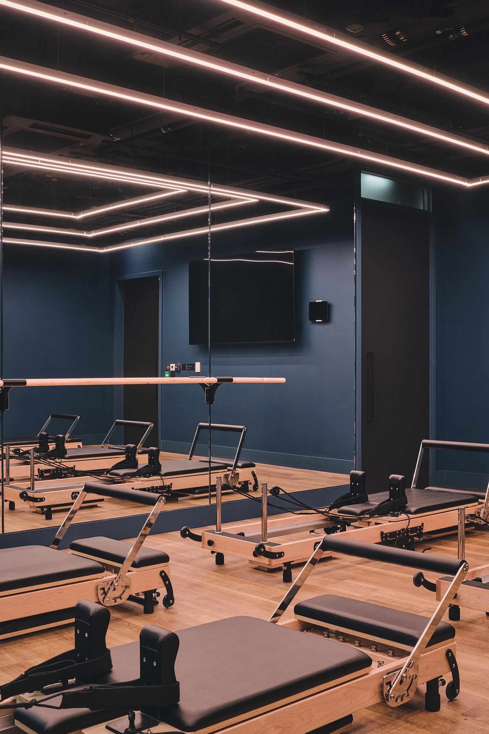 DSC_1216_26.01.09_GRID_VERTUS_HI RES.jpg