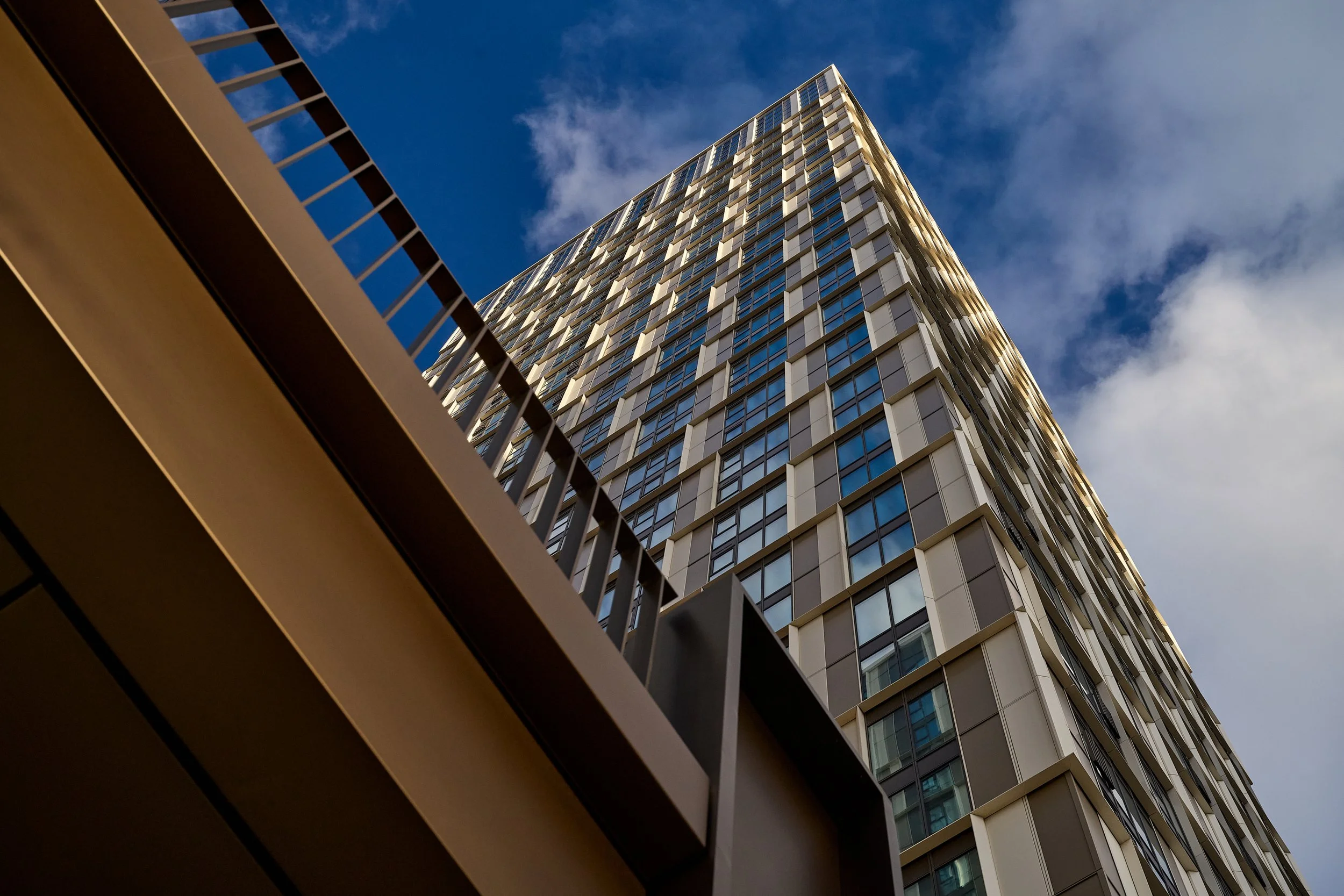 DSC_3029_26.01.09_GRID_VERTUS_HI RES.jpg