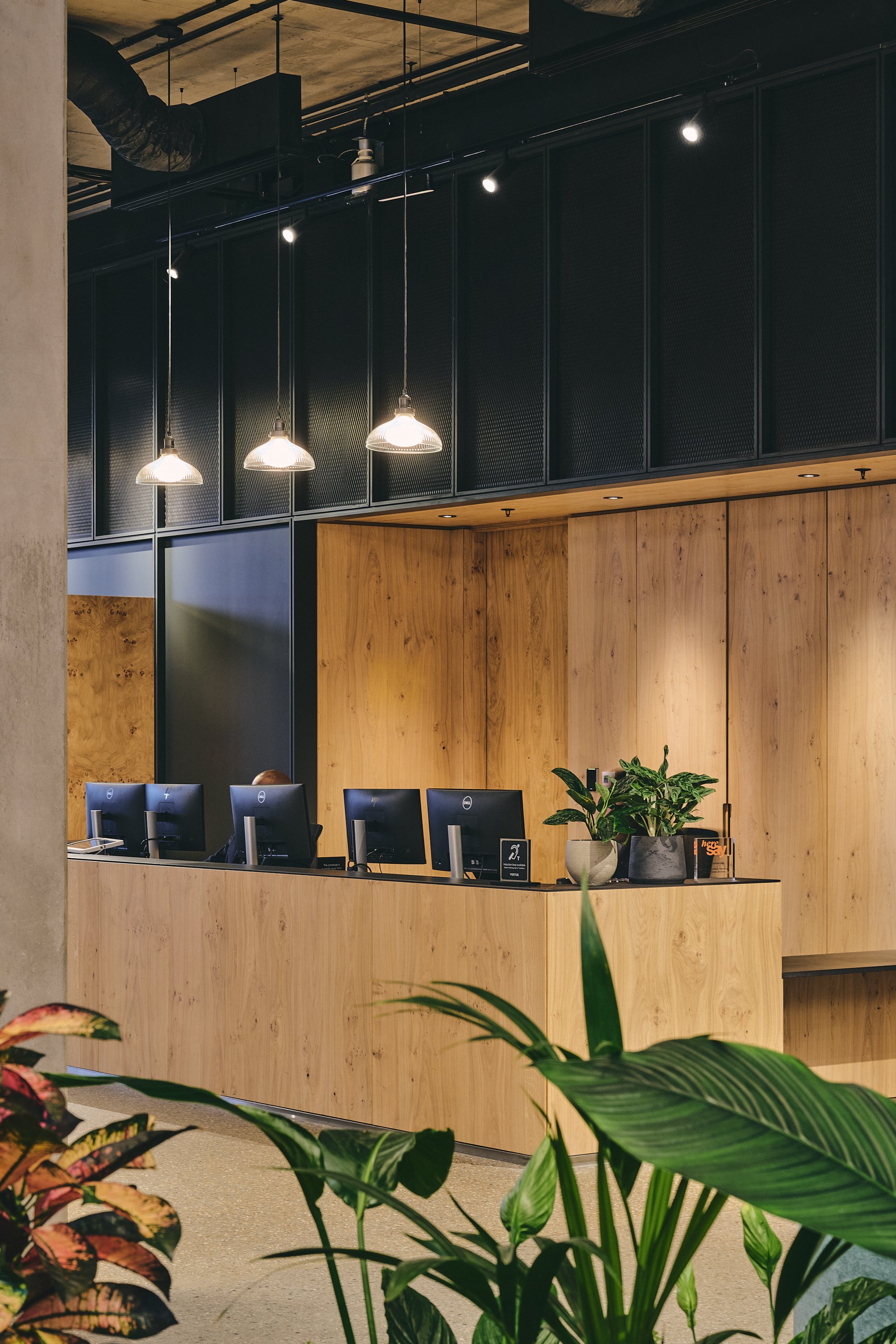 DSC_0870_26.01.09_GRID_VERTUS_HI RES.jpg