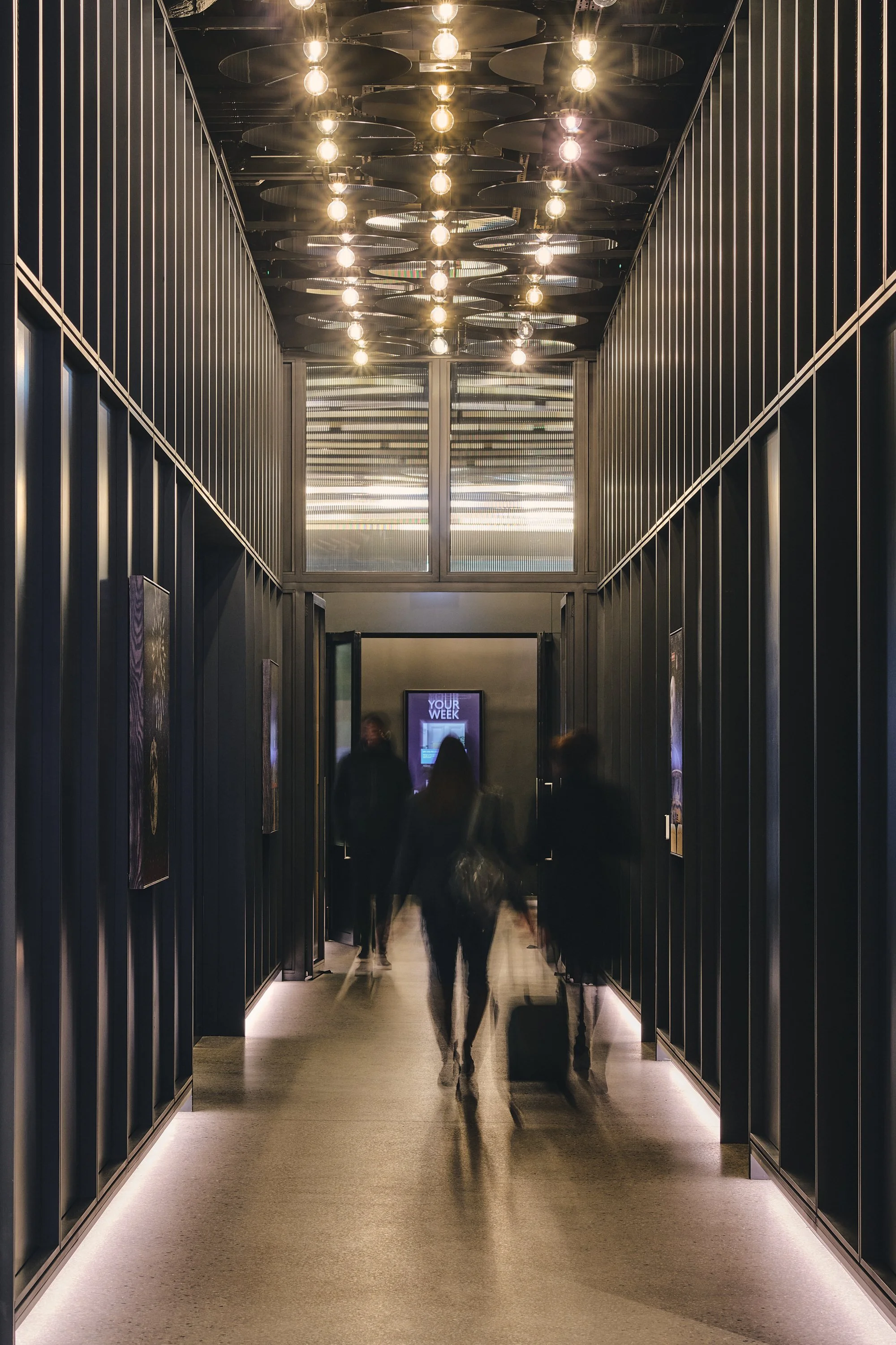 DSC_0945_26.01.09_GRID_VERTUS_HI RES.jpg