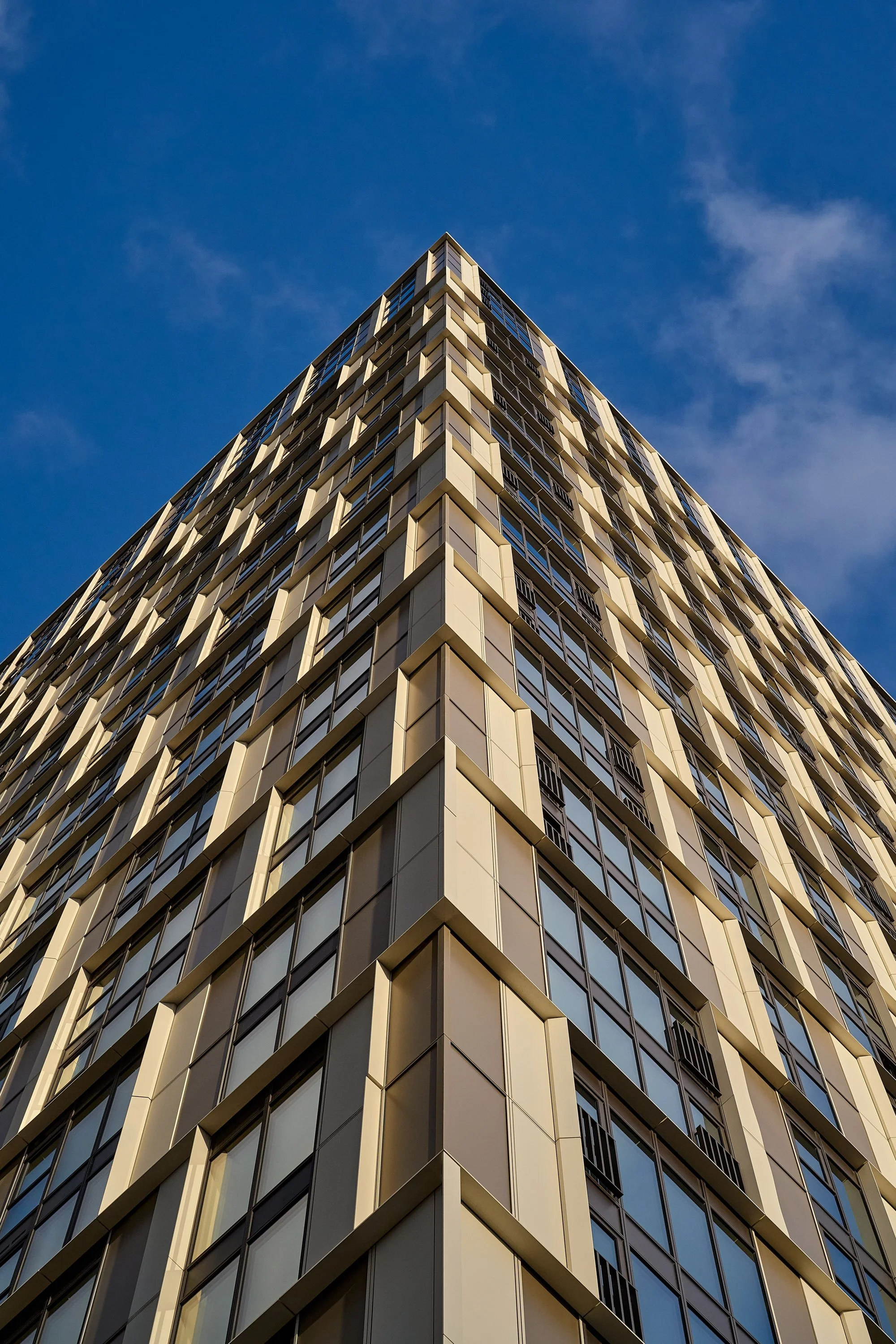 DSC_2959_26.01.09_GRID_VERTUS_HI RES.jpg