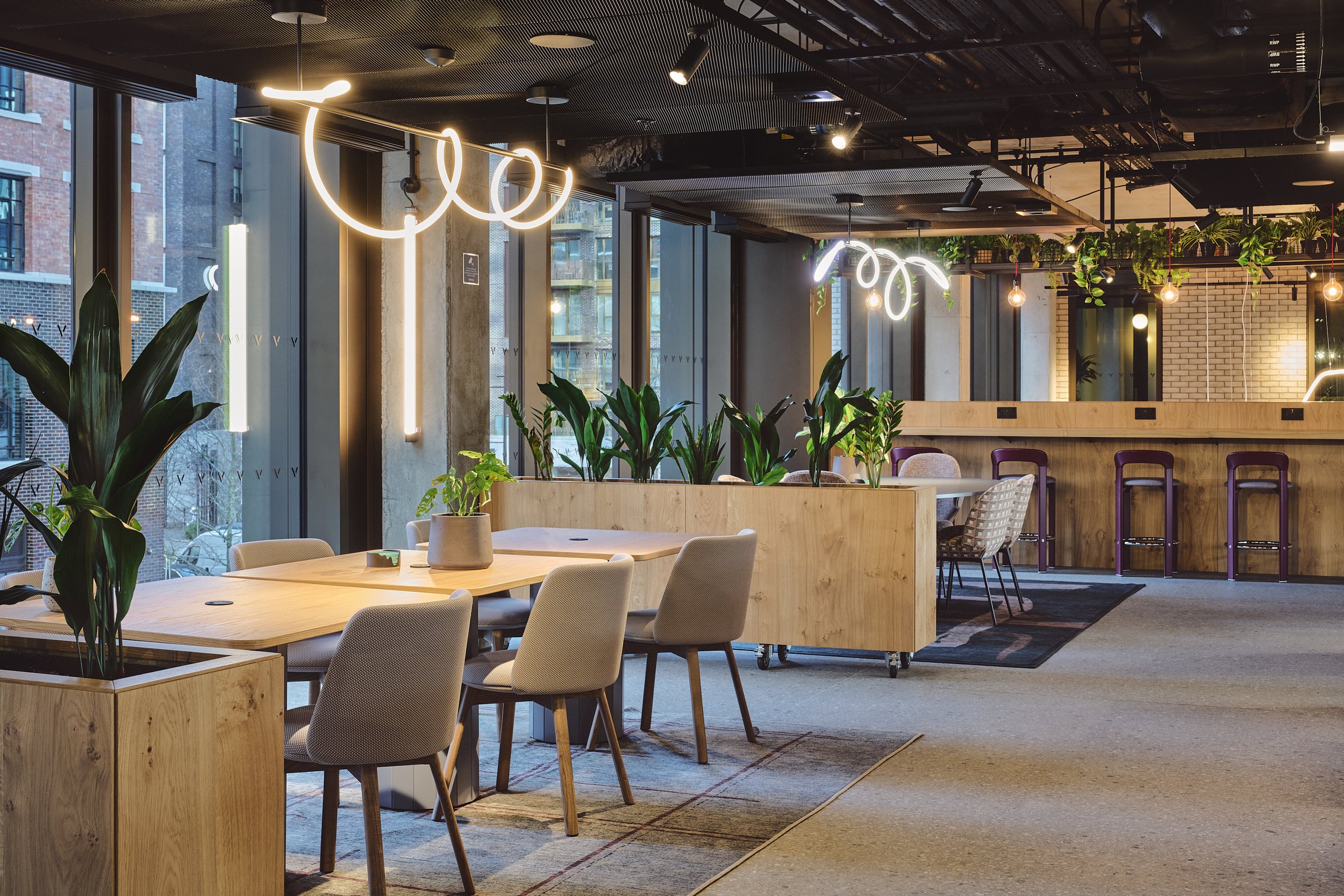 DSC_2255_26.01.09_GRID_VERTUS_HI RES.jpg