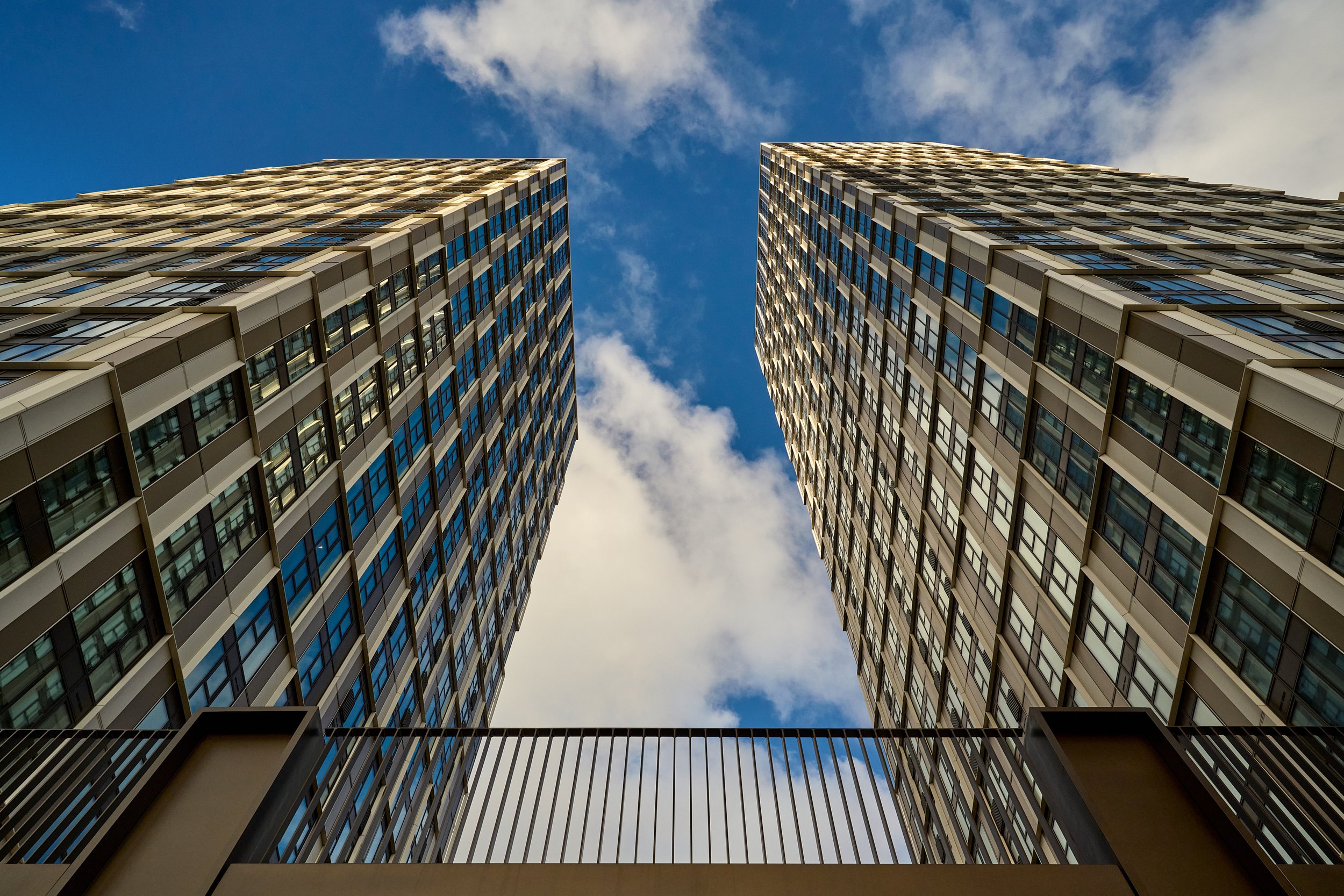 DSC_2991_26.01.09_GRID_VERTUS_HI RES.jpg