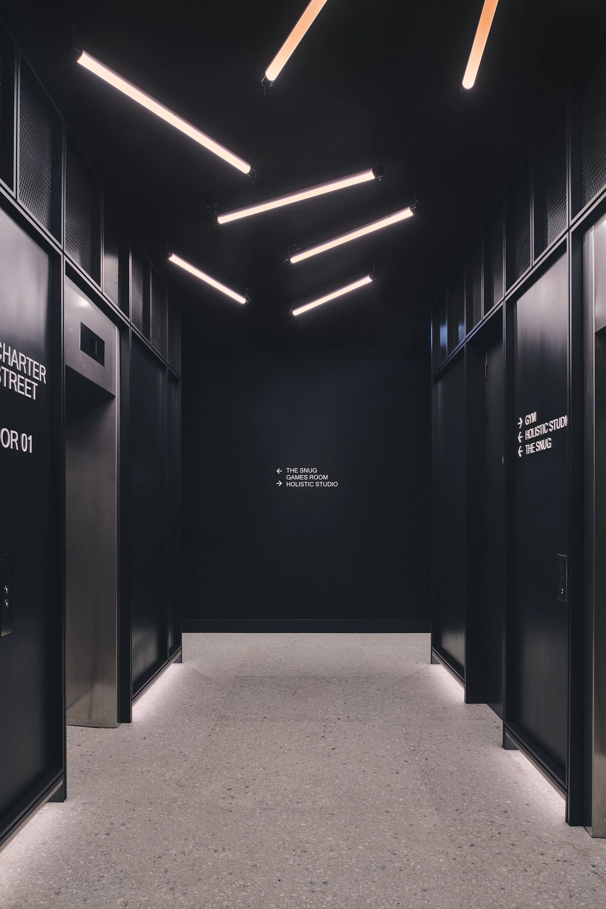 DSC_1202_26.01.09_GRID_VERTUS_HI RES.jpg