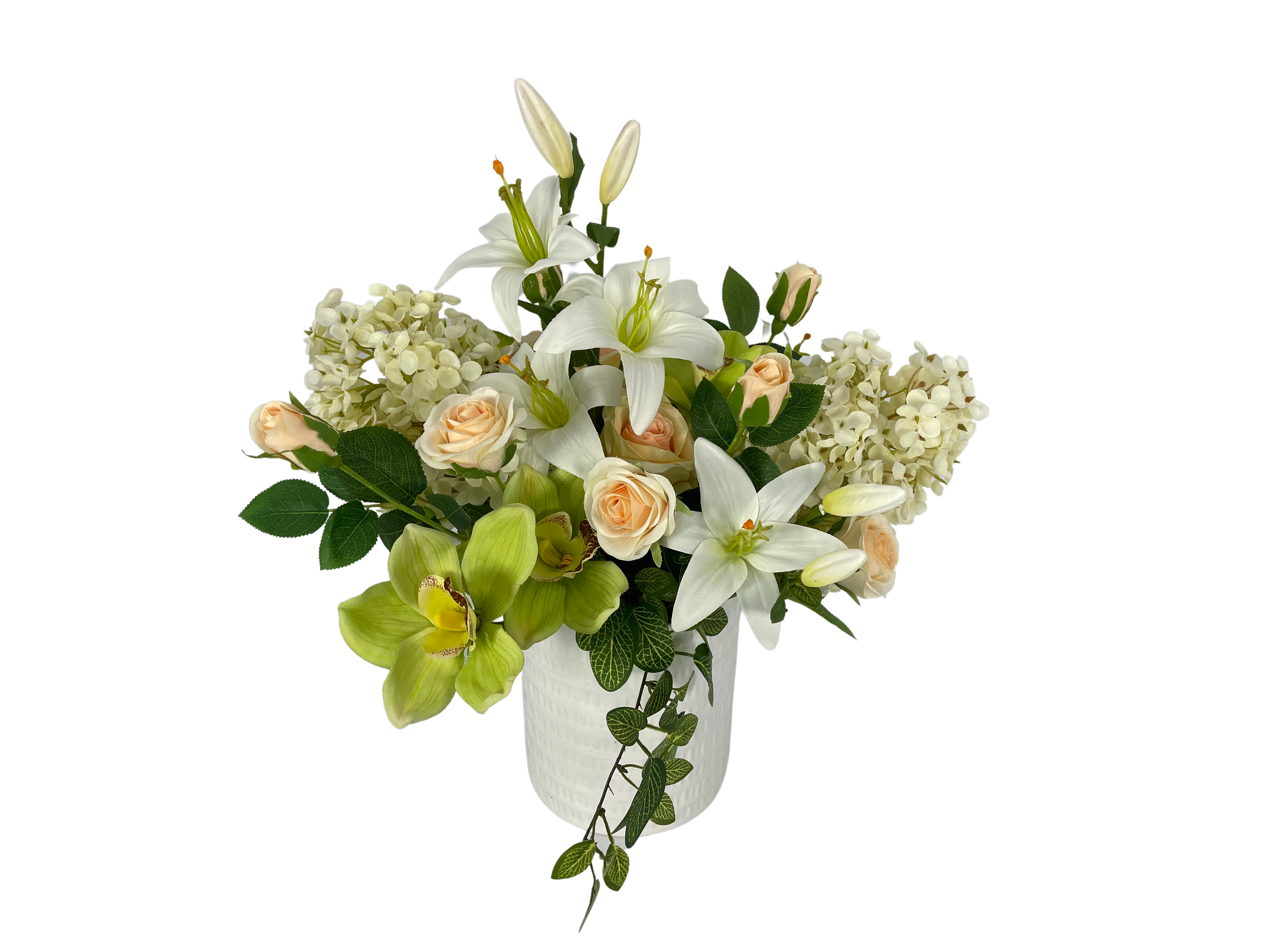 IMG_2046.png