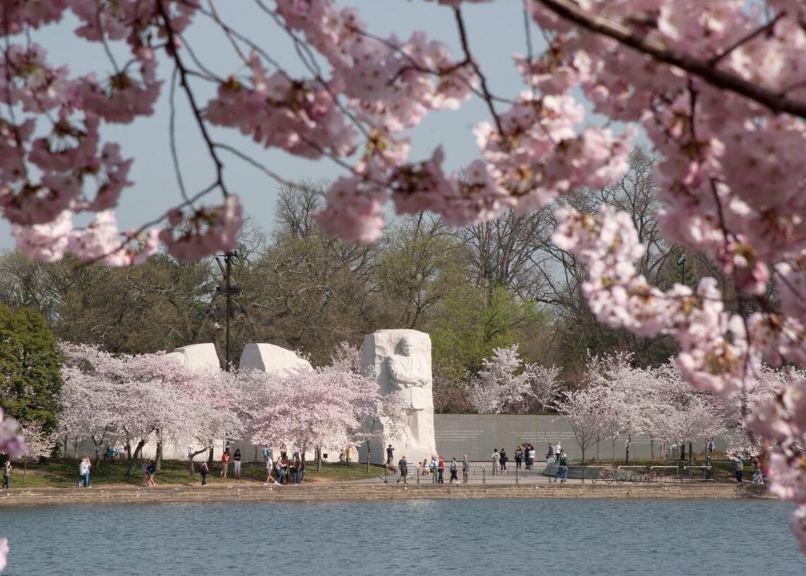 Happy #LANDofDiversity from STUDIOPLAATS! Today, we're taking look at the ASLA&rsquo;s Racial Equity Plan of Action, @nationalasla , which we were elated to see from our fellowship of American Landscape Architects and are very excited to see put into