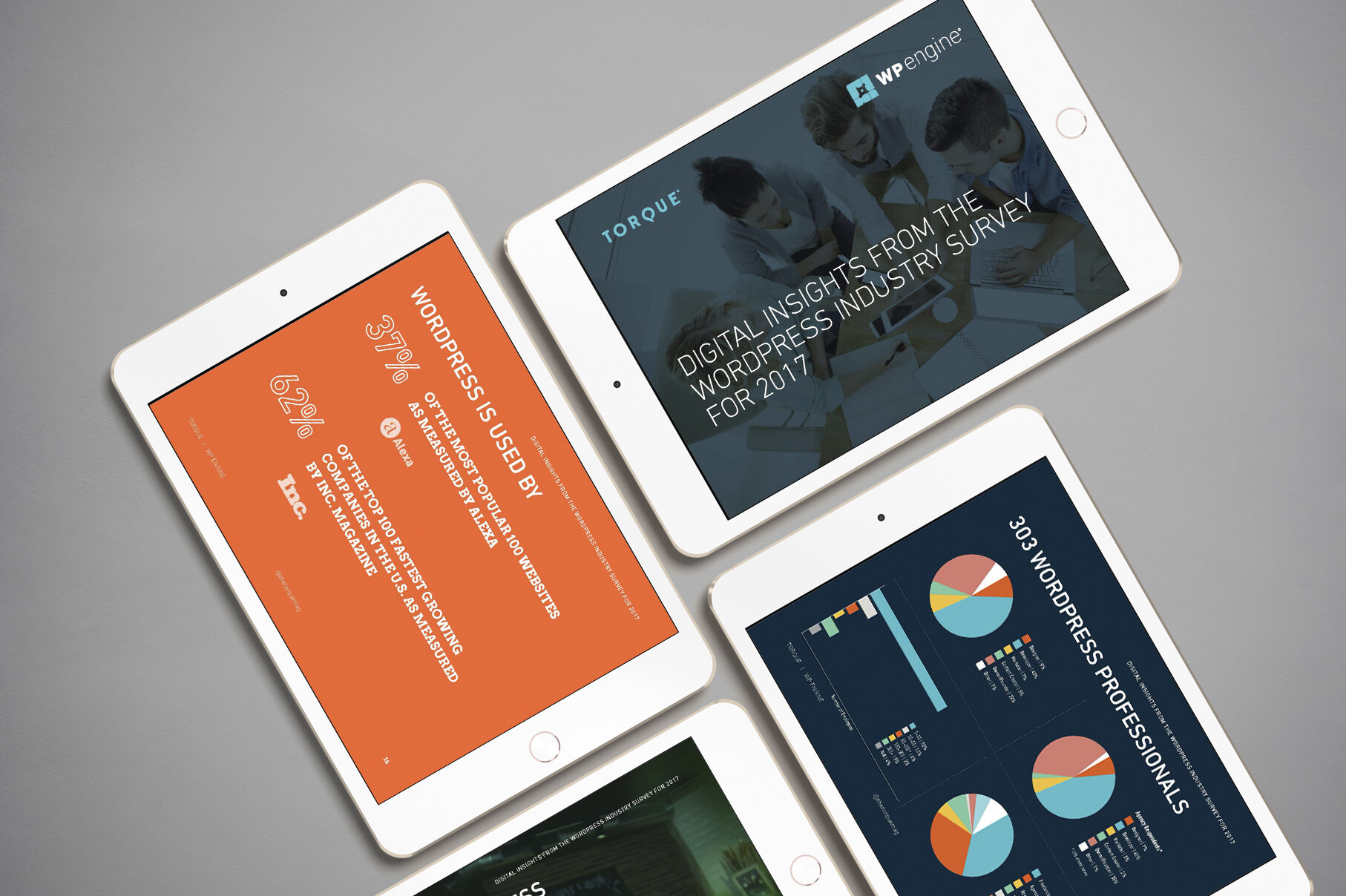 ebook_wpe_torque_survey.jpg