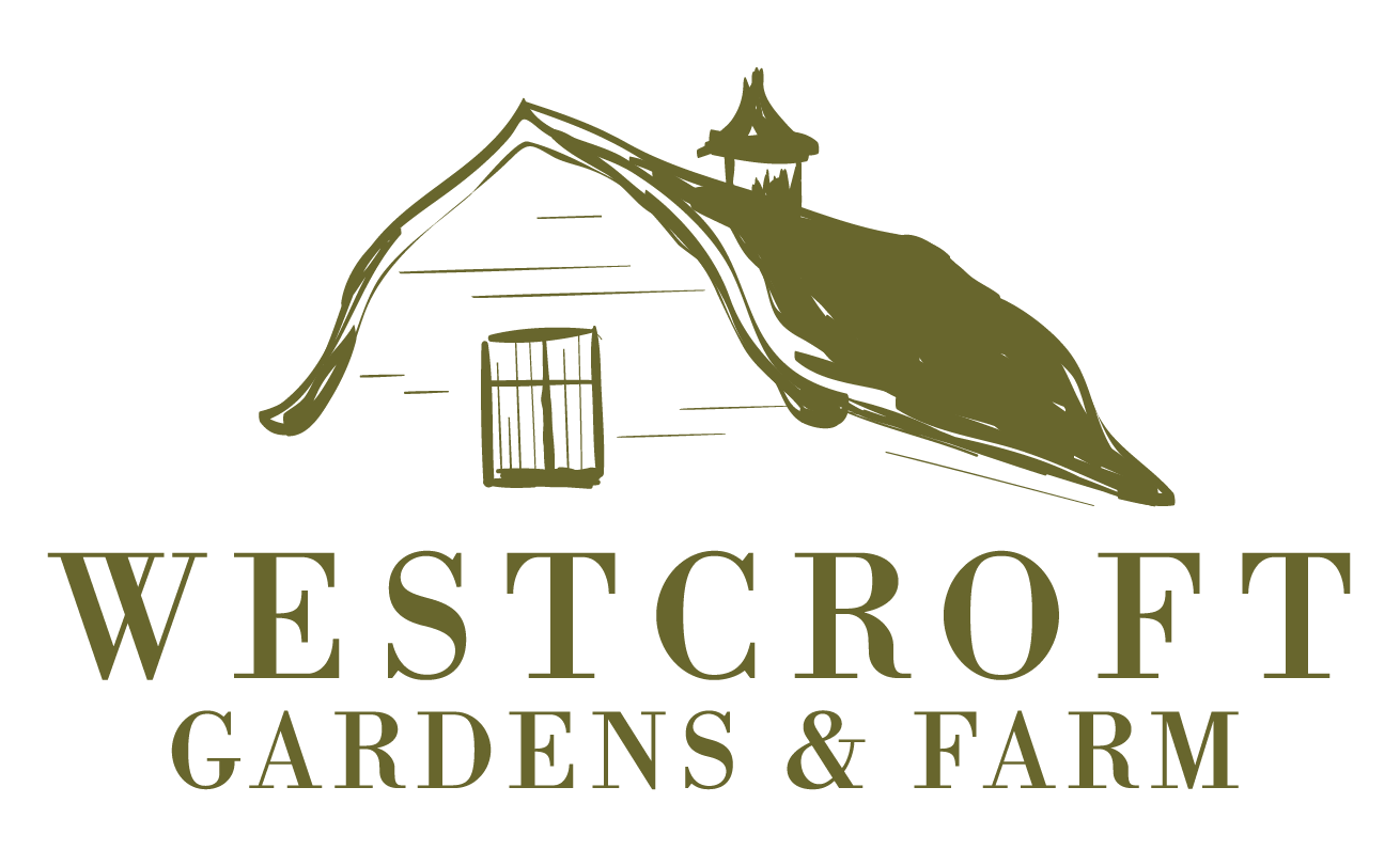 Westcroft Gardens