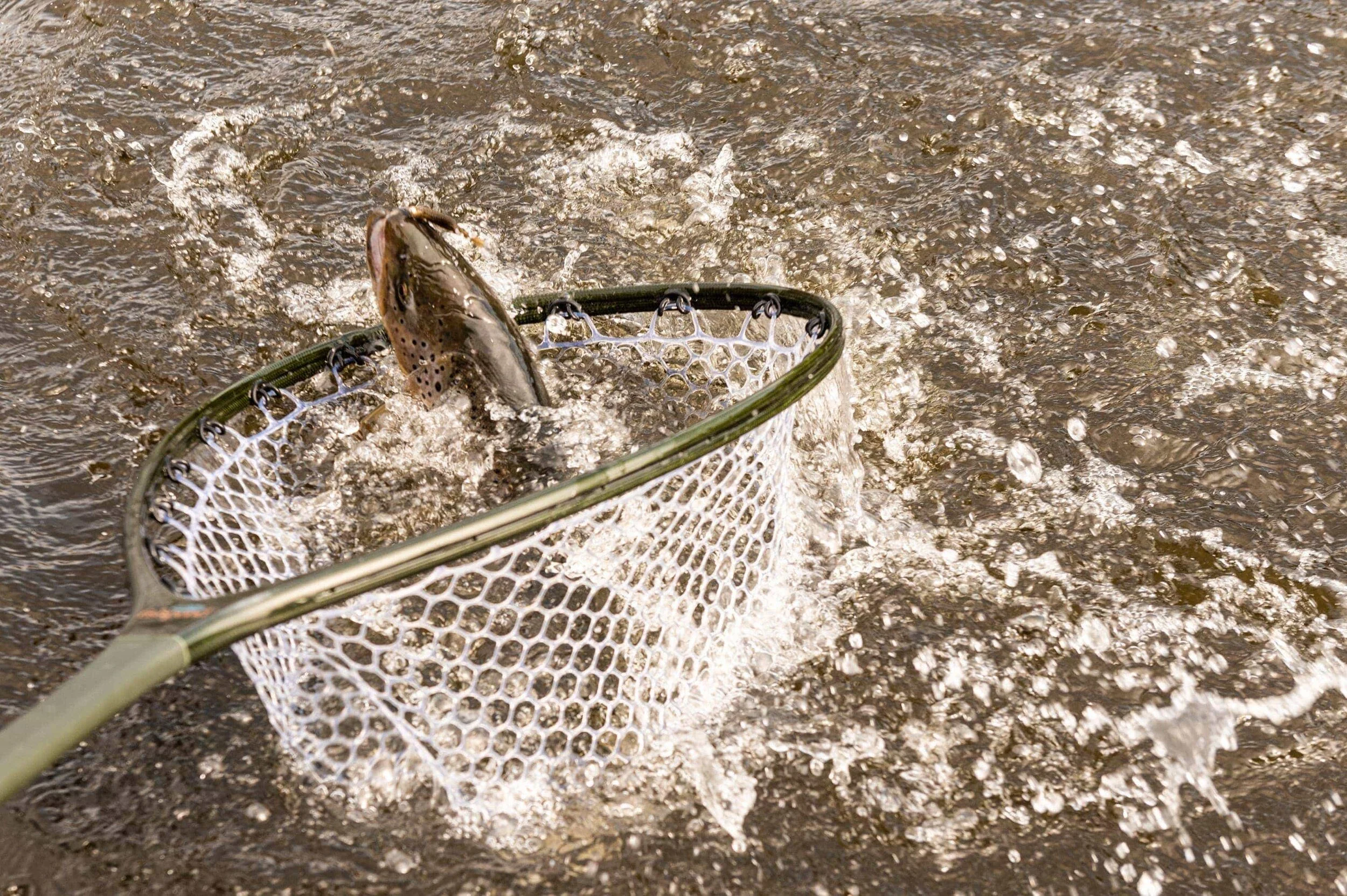 Early Season Trout Fishing in New Hampshire — FLY FISH NH