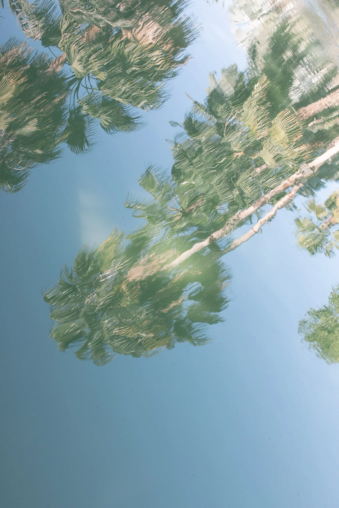 cabo- wedding photographer-flora-farms-21.jpg