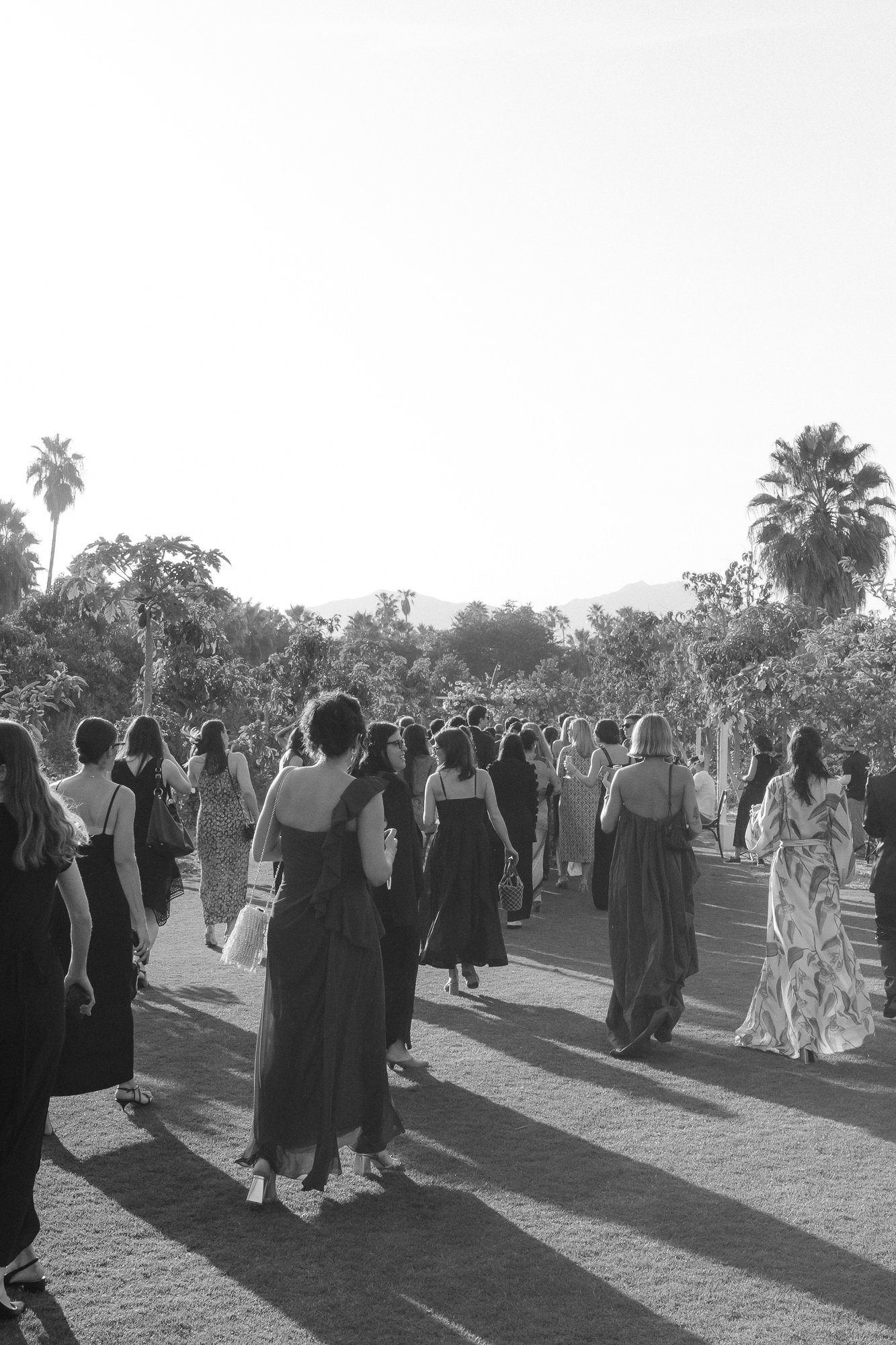 cabo- wedding photographer-flora-farms-26.jpg