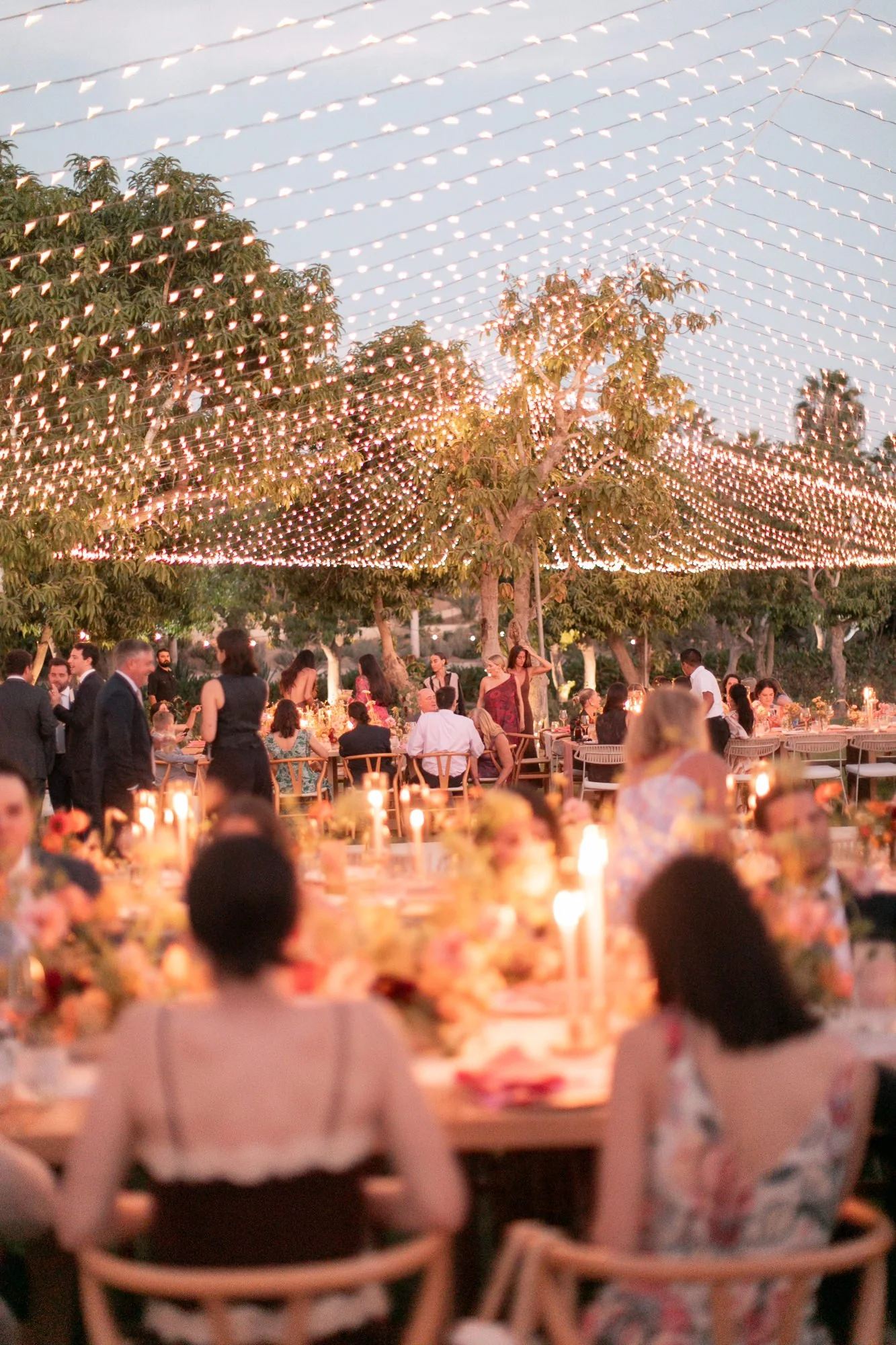 cabo- wedding photographer-flora-farms-44.jpg