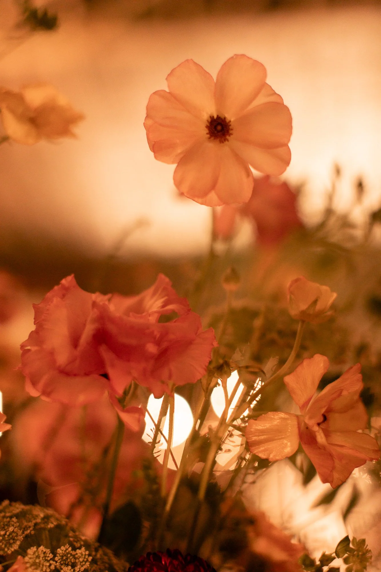 cabo- wedding photographer-flora-farms-48.jpg