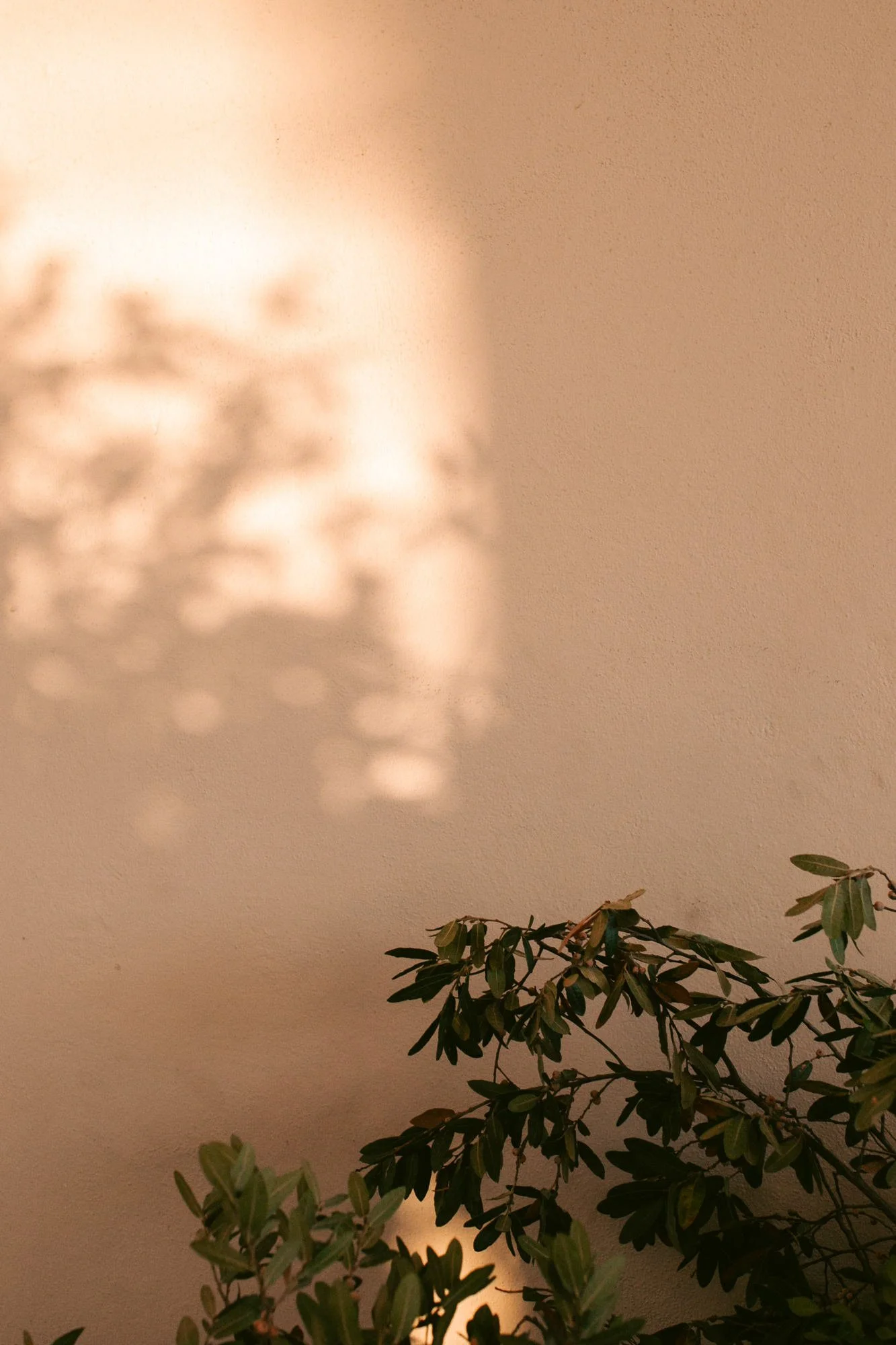 san-miguel-de-allende-hacienda-wedding-39.jpg