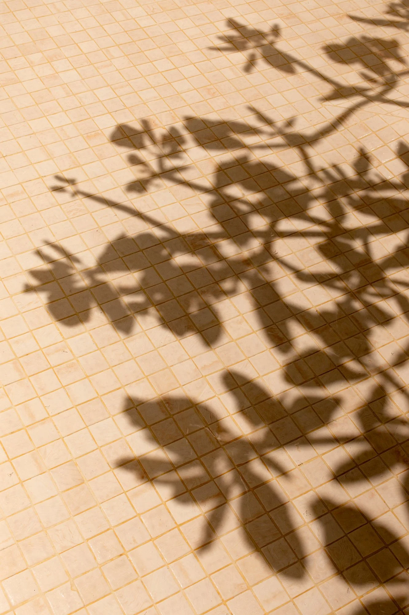 rosewood mayakoba wedding-20.jpg