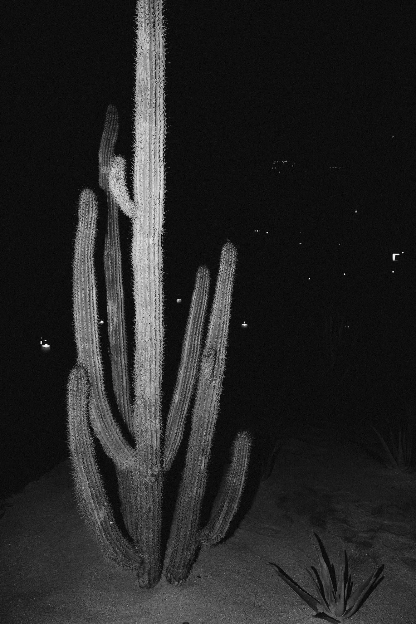 Cabo-wedding-photographer-waldorf-astoria-64.jpg