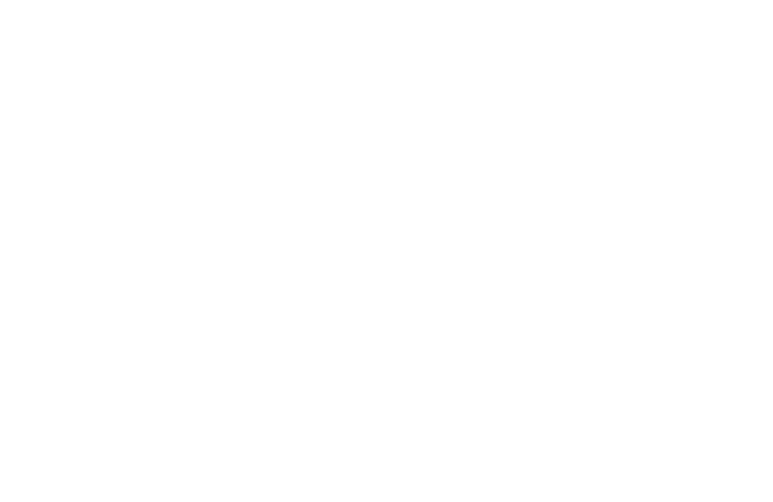 Festival of Bands