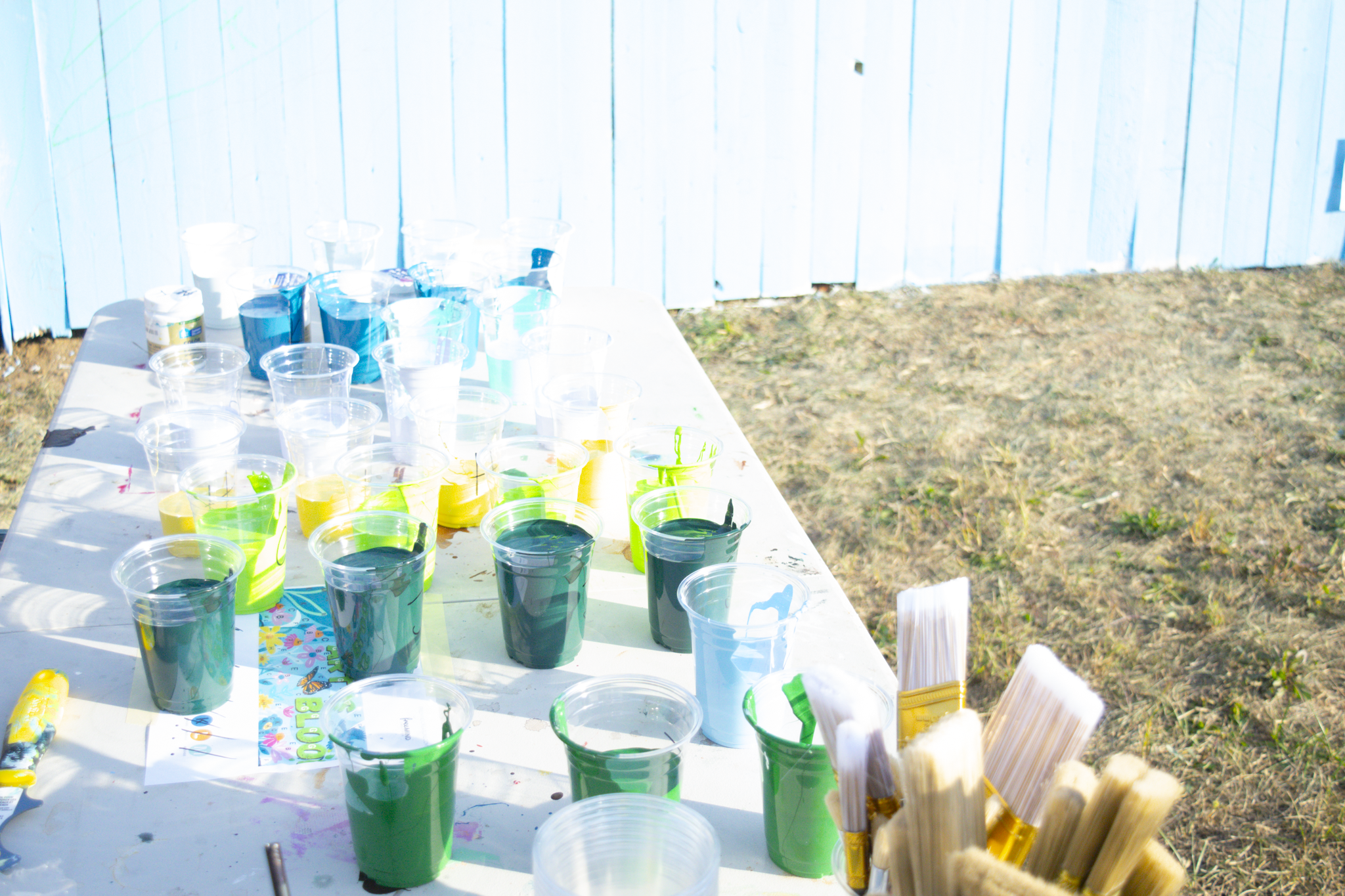 Touba Gardens Mural-10.png