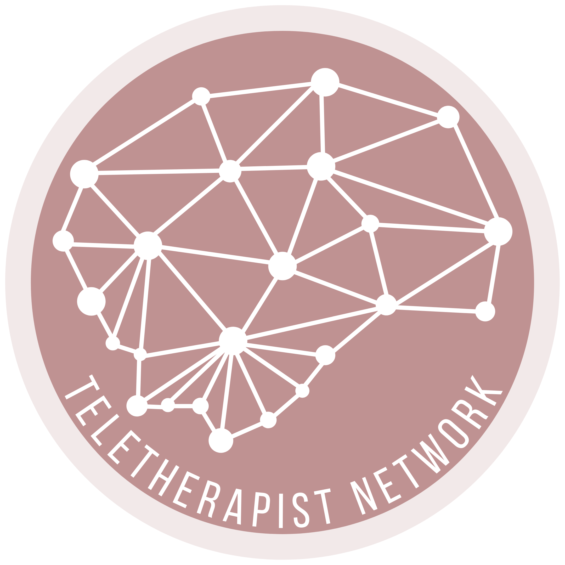 Private Practice Therapy Salary: How Much Can Therapists Make? —  Teletherapist Network