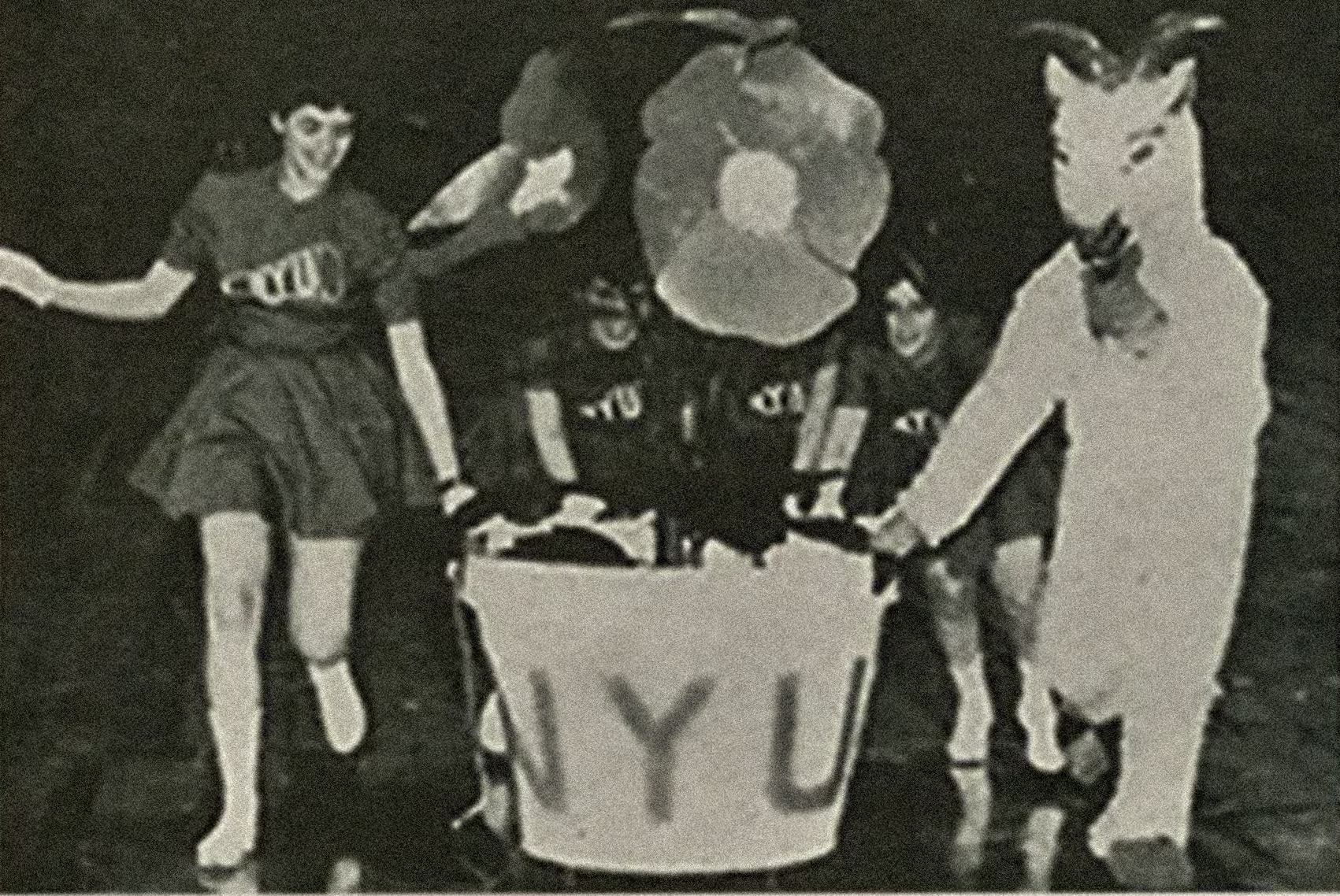 NYU_MASCOTw.png