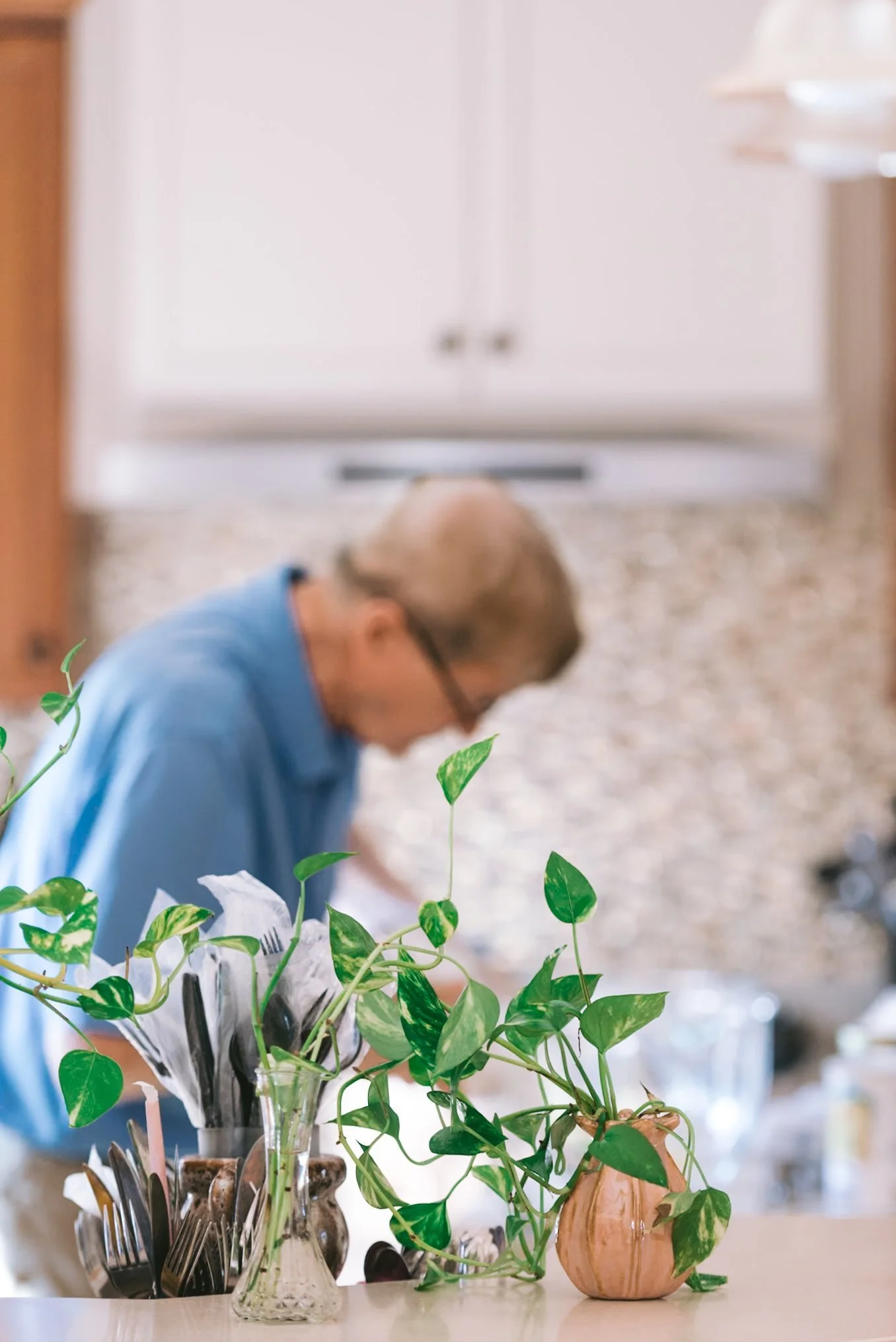 A man wearing glasses and a blue shirt working at a kitchen counter, with a potted plant and utensils in the foreground.