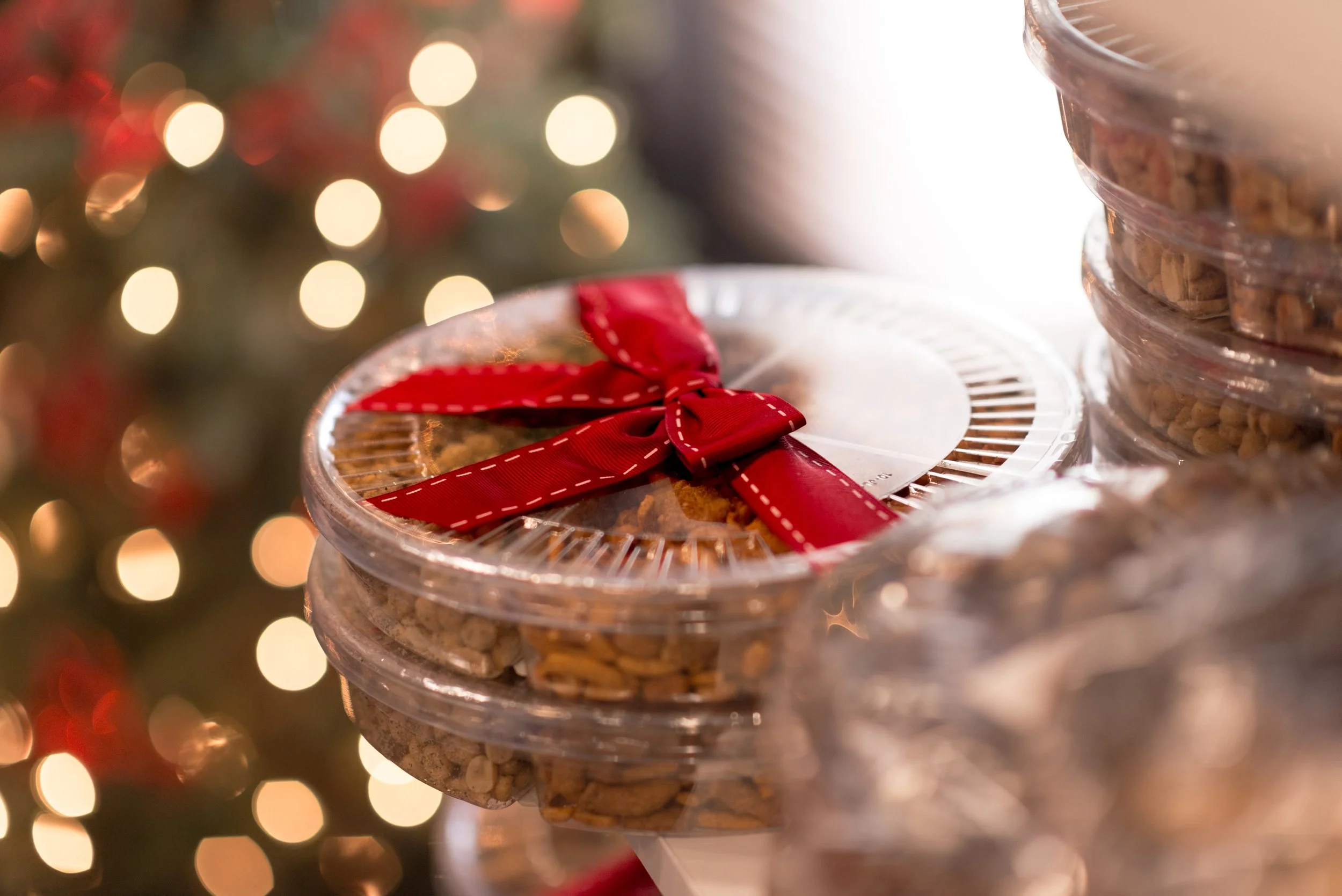 Trophy Nut at Christmas by Andrea Molina in Tipp City Ohio