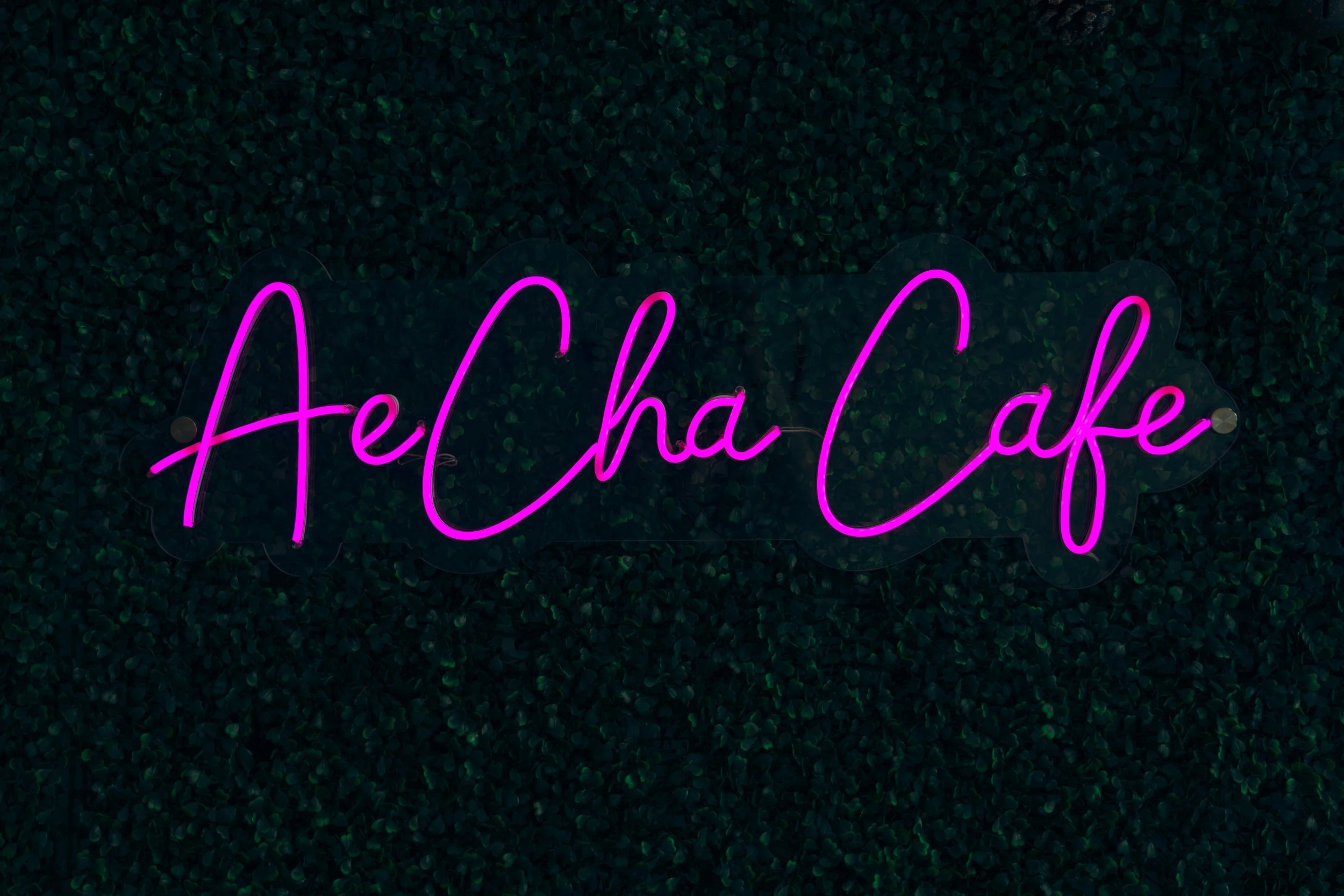 AeCha Cafe in Tipp City neon sign by Andrea Molina Photography