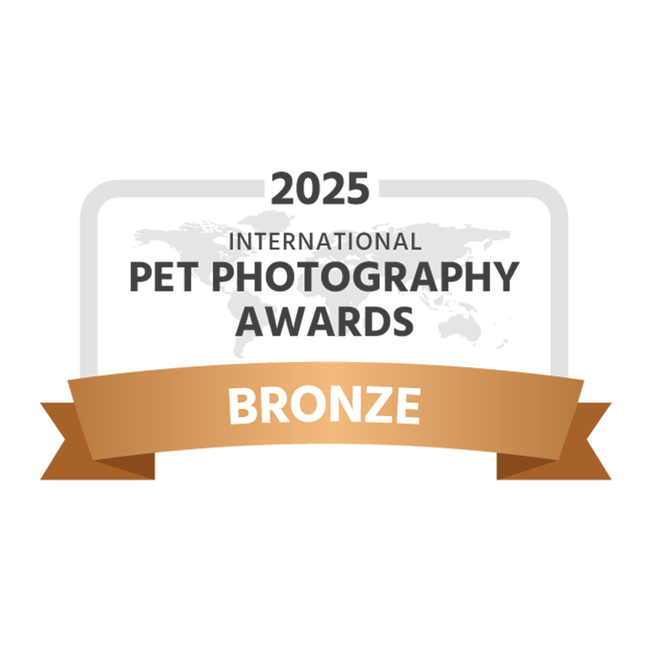 Bronze Award