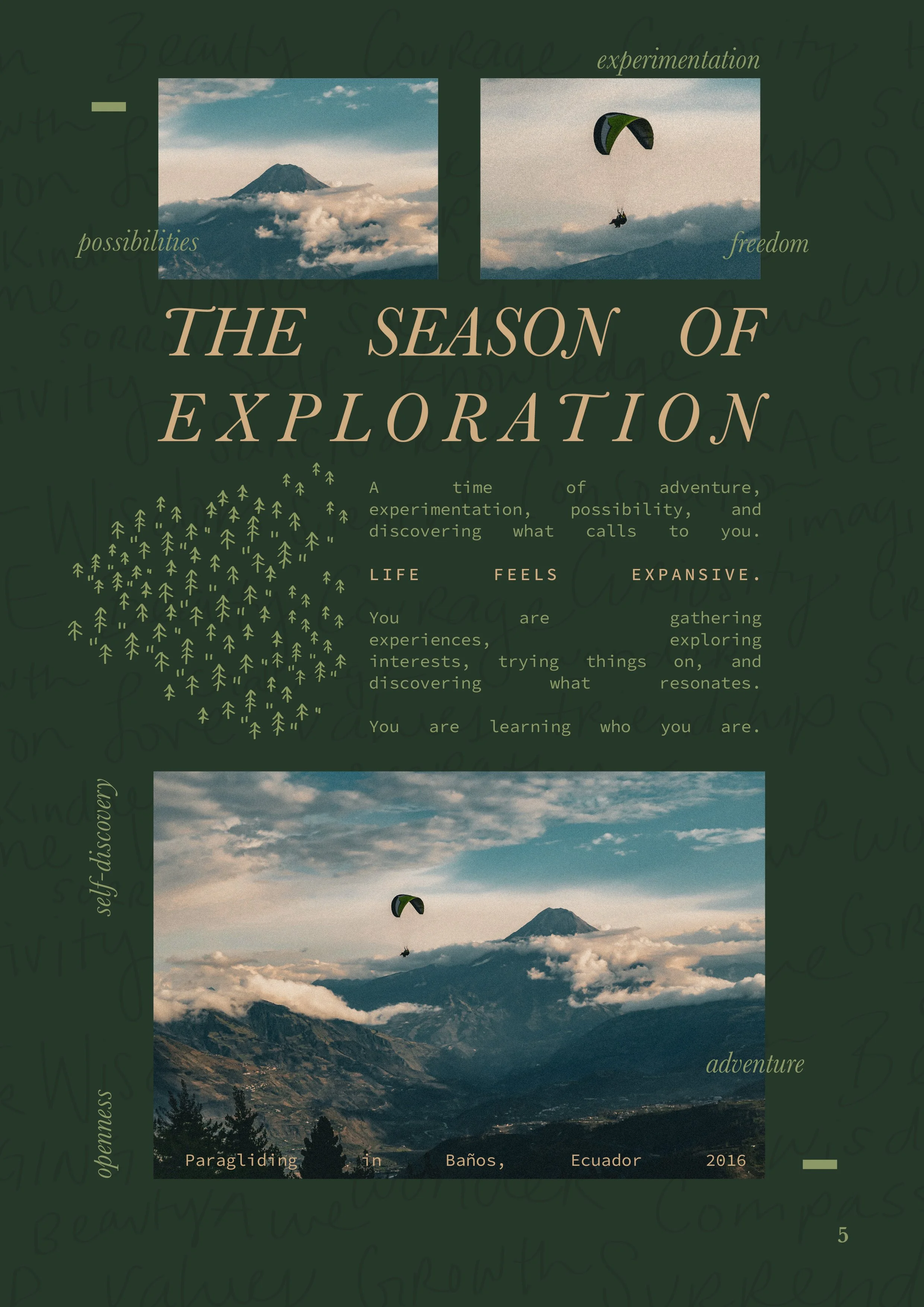 Field Guide for the Seasons of a Creative Life8.jpg