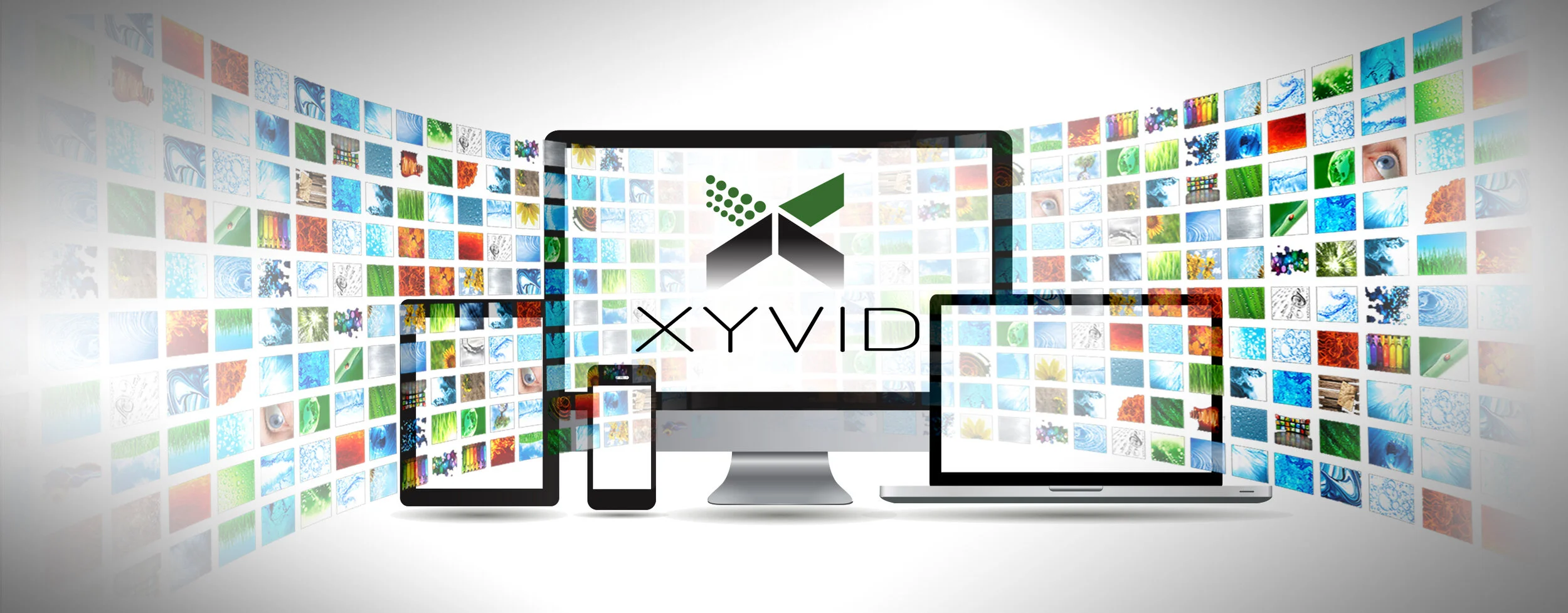 xyvid-identity6.jpg