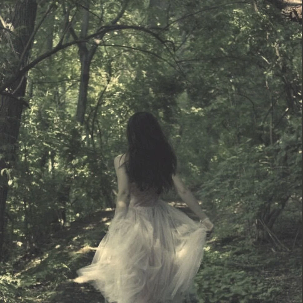 IntoTheWild2.jpg