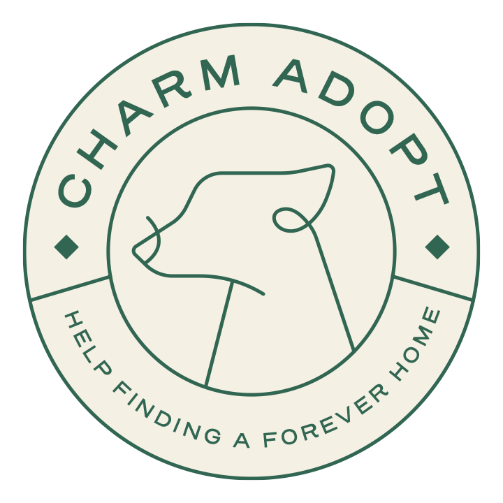 Charm Adopt 