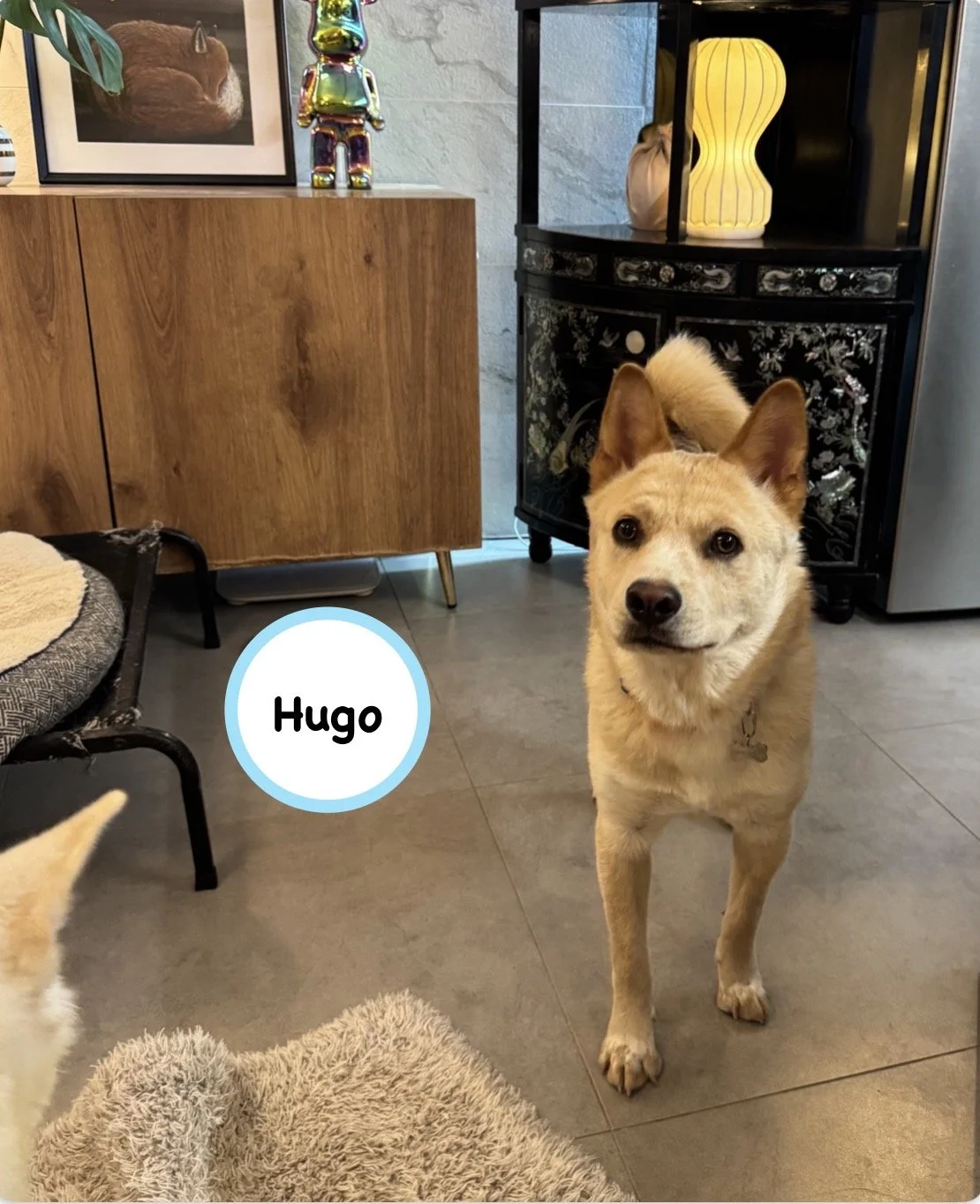 Hugo