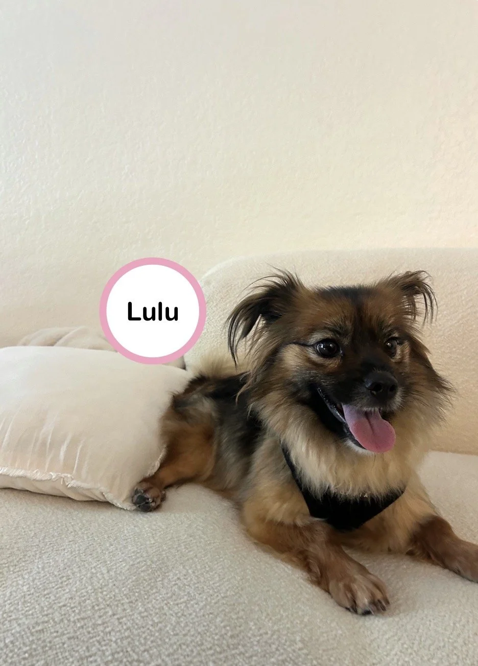 Lulu