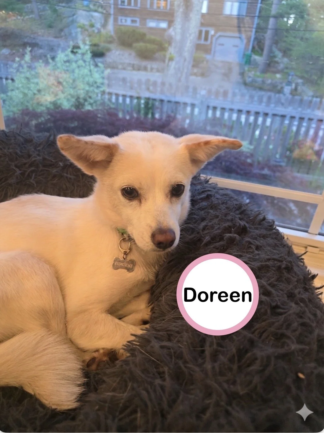 Doreen