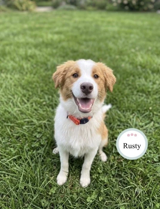 Rusty