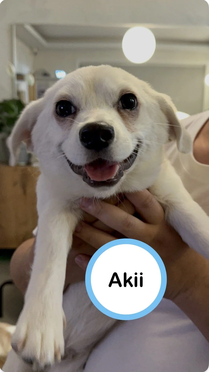 Akii