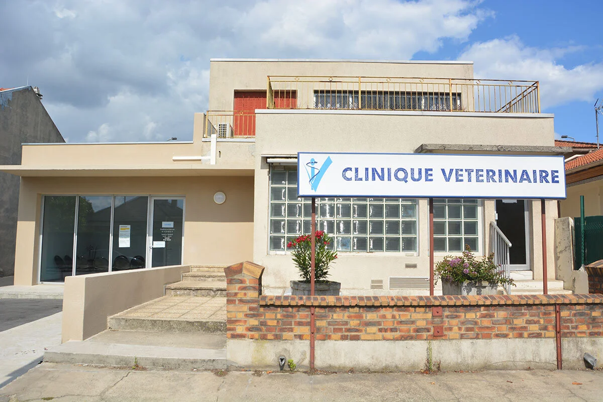 Clinique Clinique V t rinaire