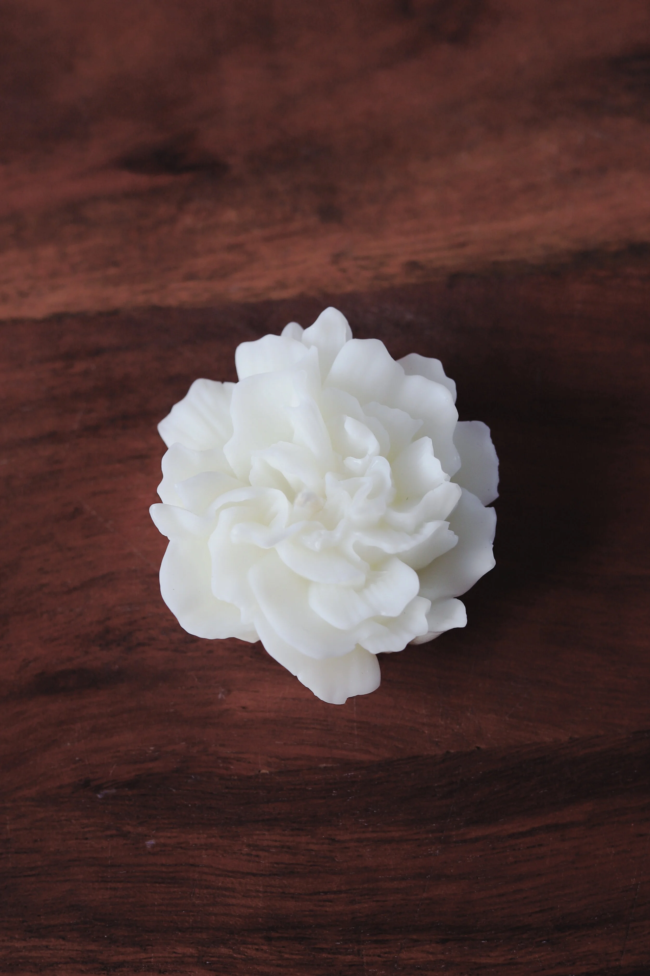 AfterlightImage (11).jpeg