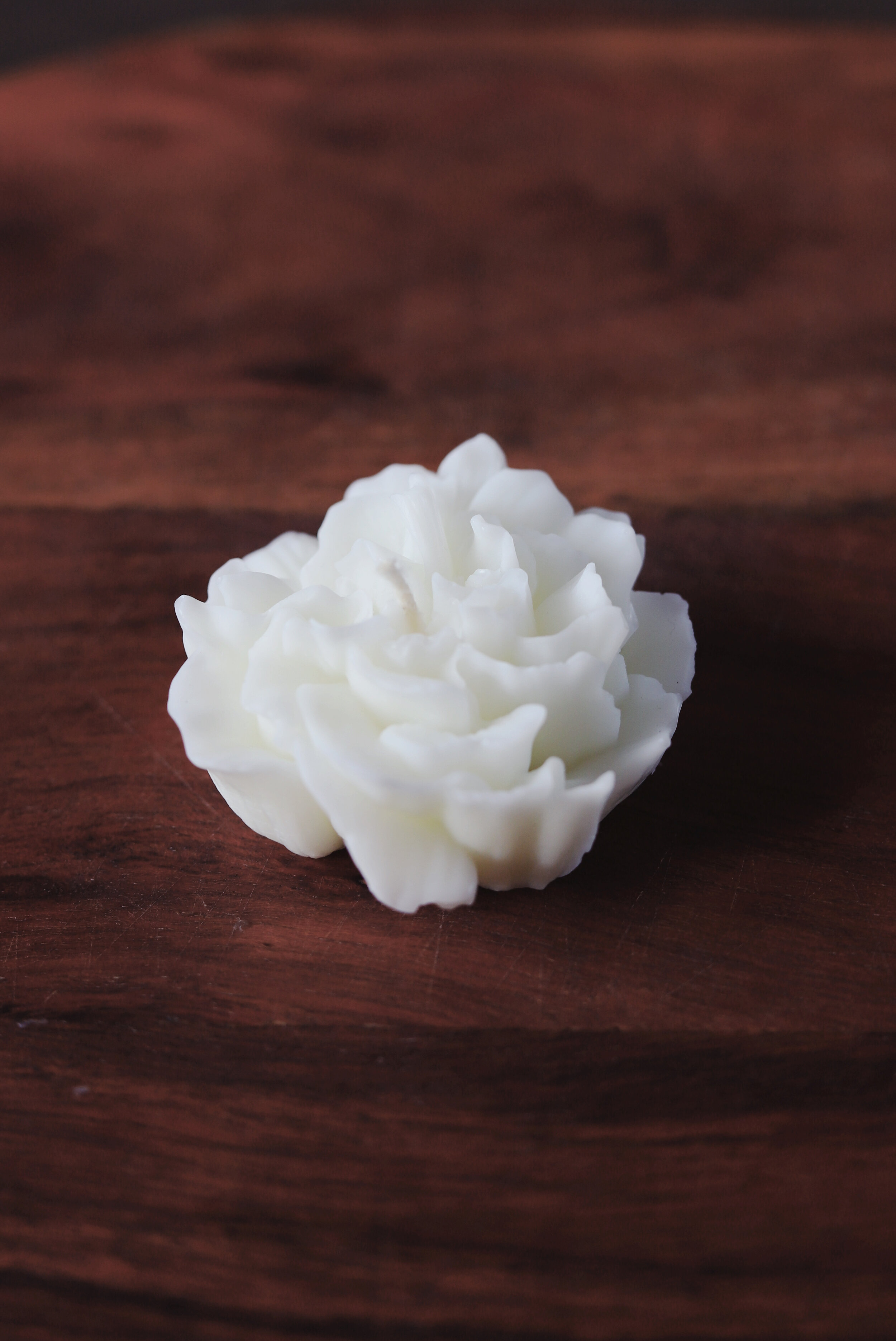 AfterlightImage (6).jpeg