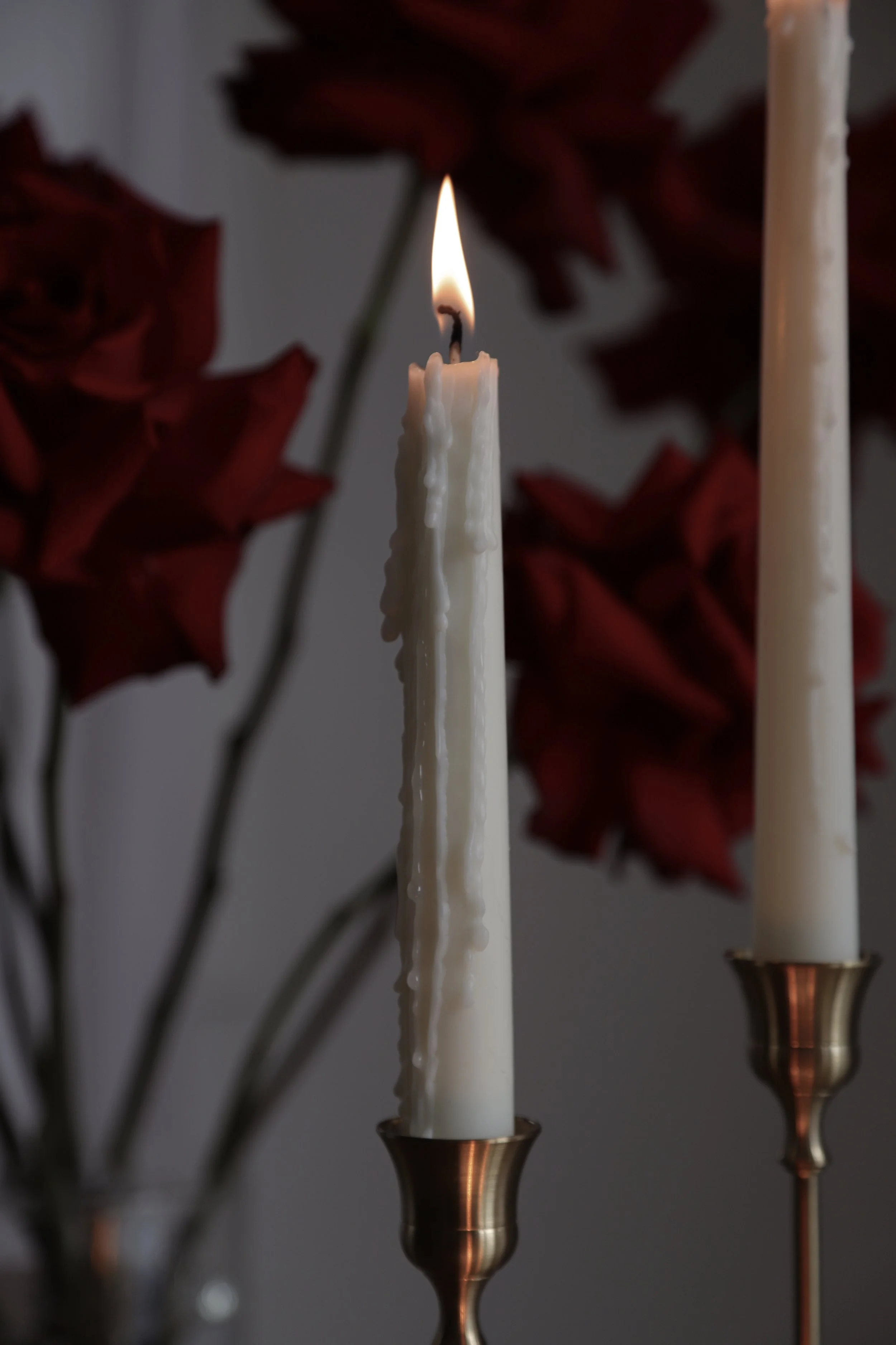 8CF3AC89-8CF1-434D-A934-F586A7456F0A.JPG